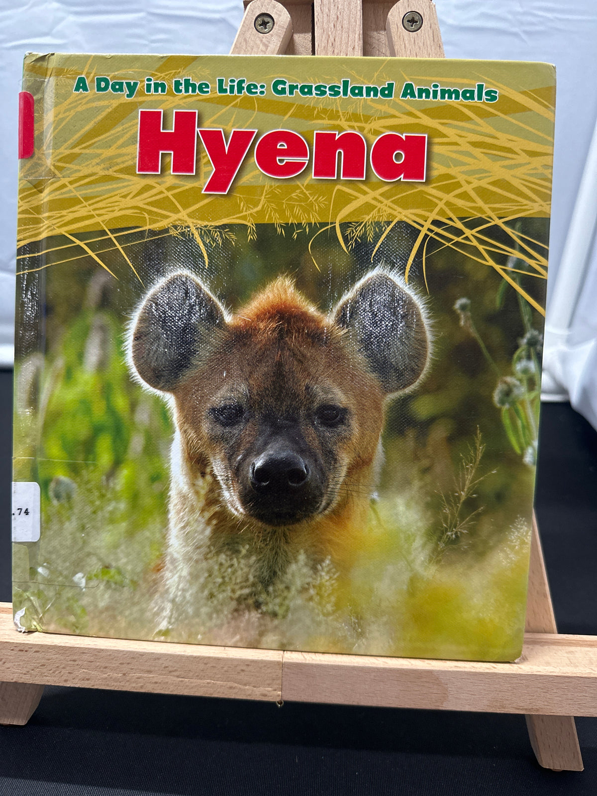 Hyena by Louise Spilsbury Hardcover