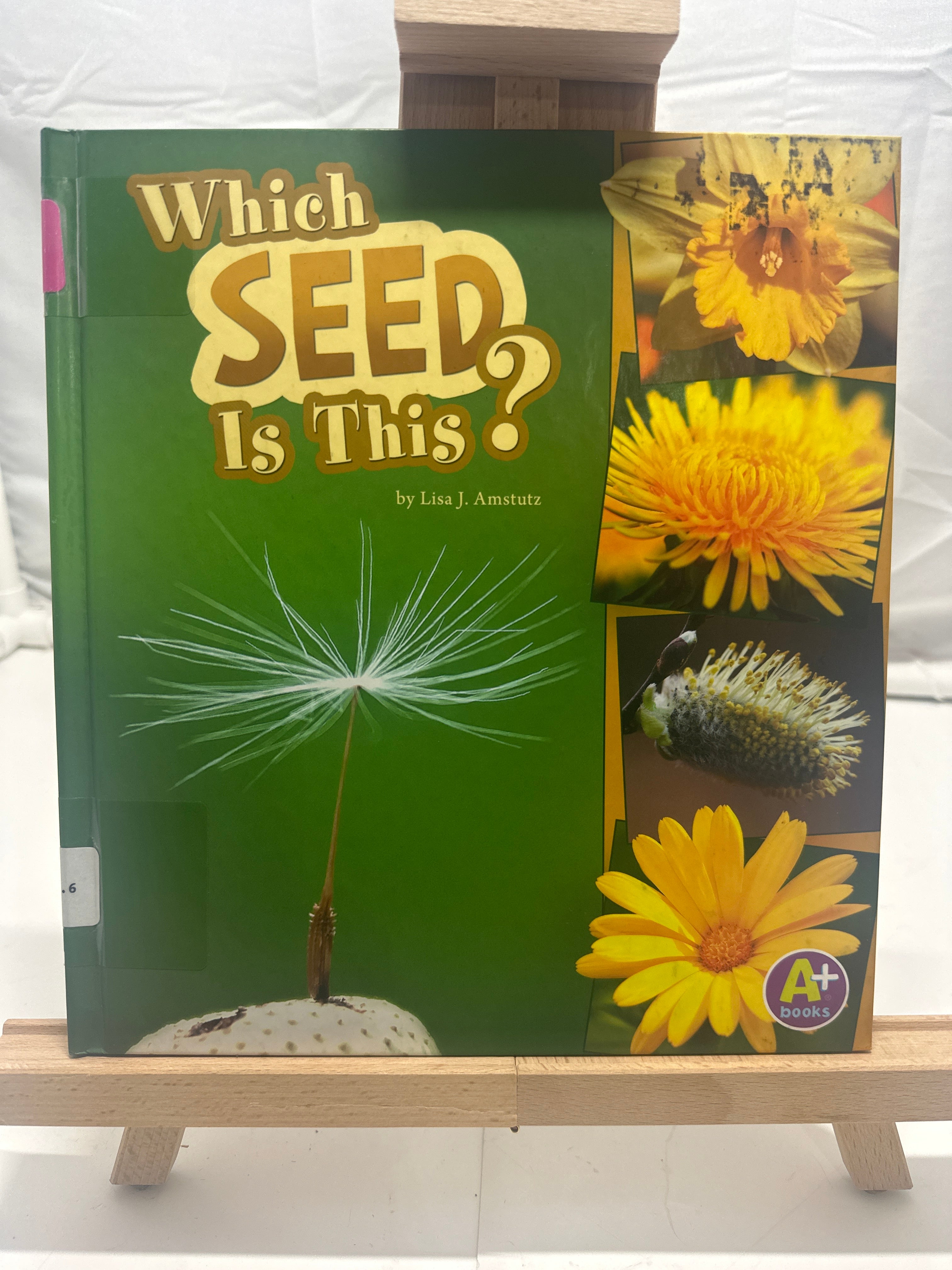 Which Seed Is This? by Lisa J. Amstutz Hardcover