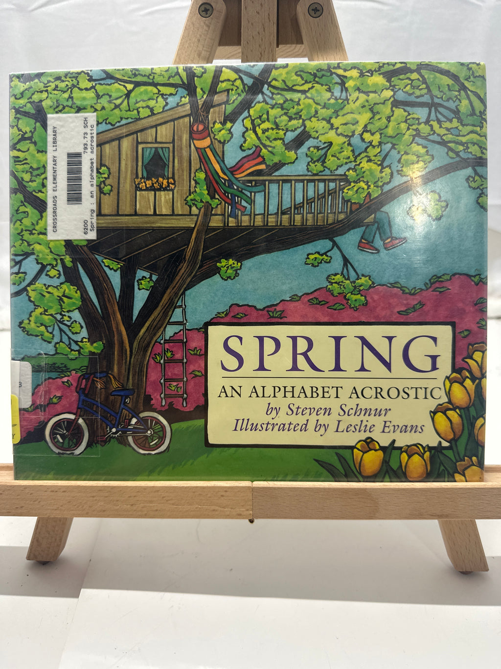 Spring by Steven Schnur Hardcover