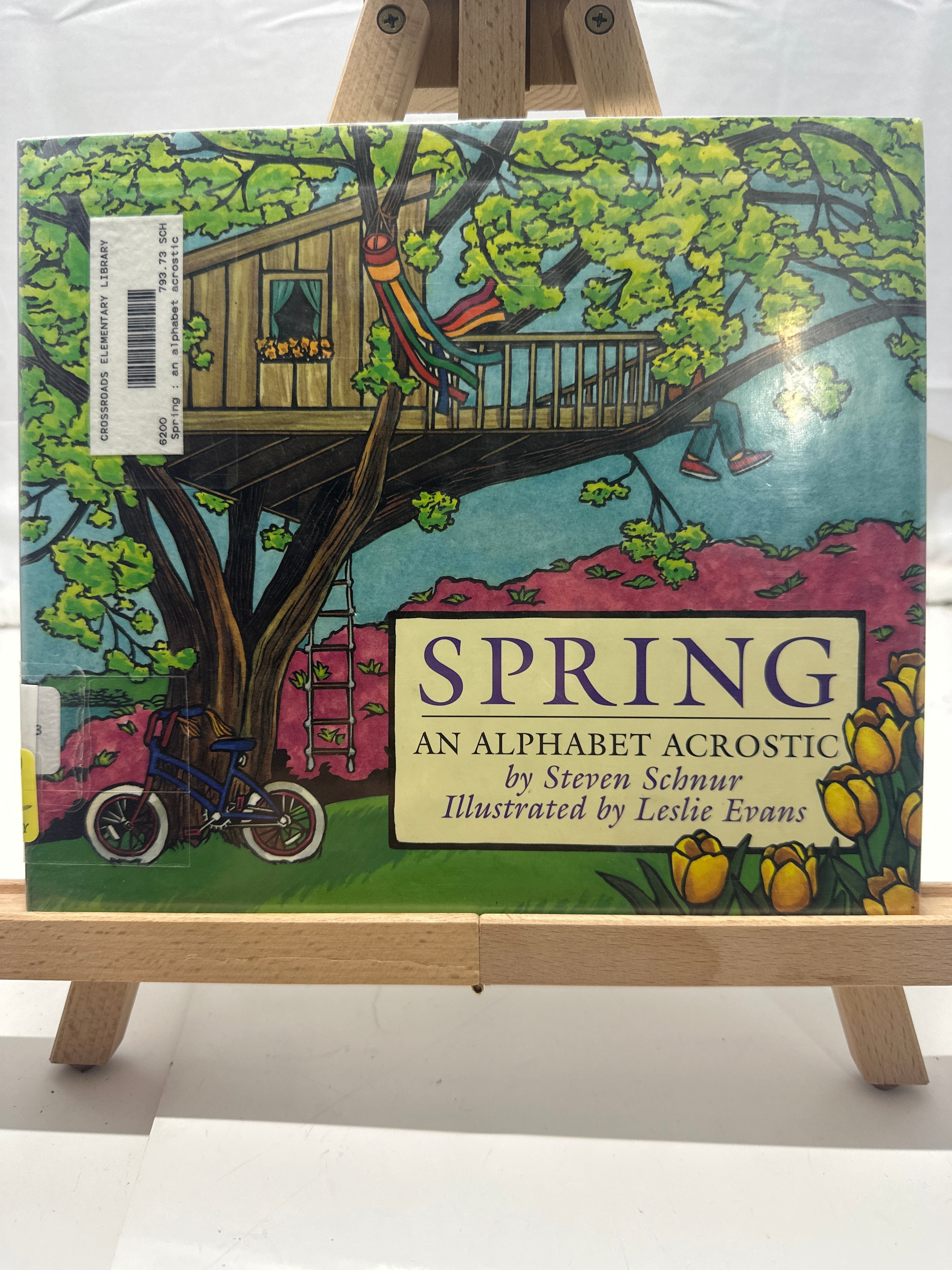 Spring by Steven Schnur Hardcover
