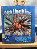 Sea urchins by Deborah Coldiron Hardcover Children's Book