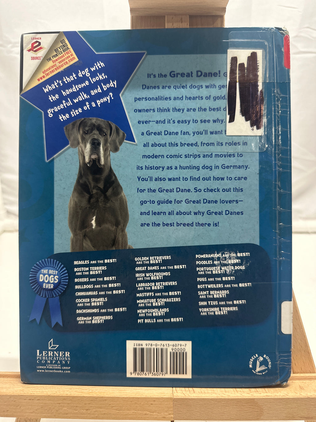 Great Danes Are the Best! by Elaine Landau Hardcover