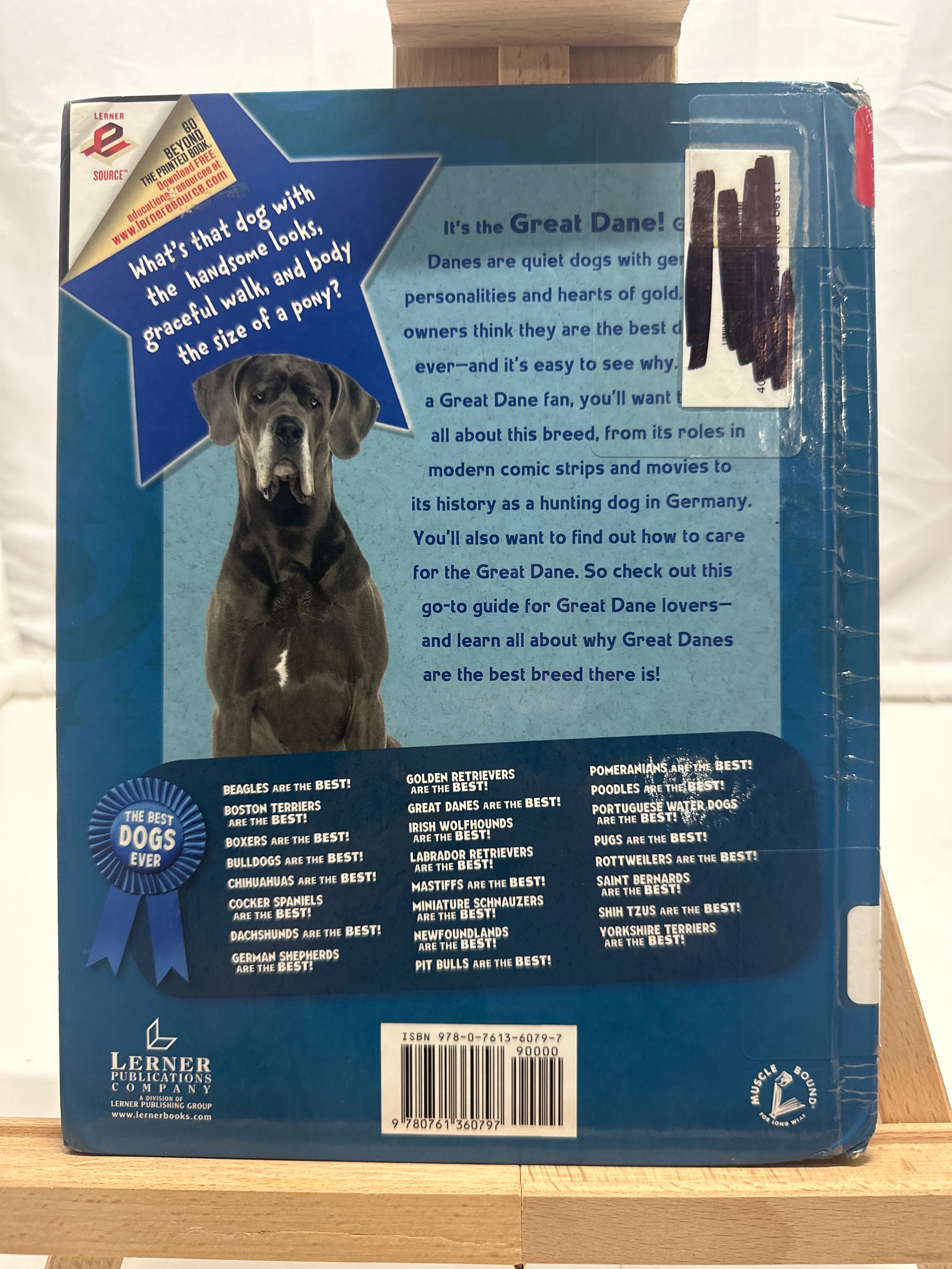 Great Danes Are the Best! by Elaine Landau Hardcover
