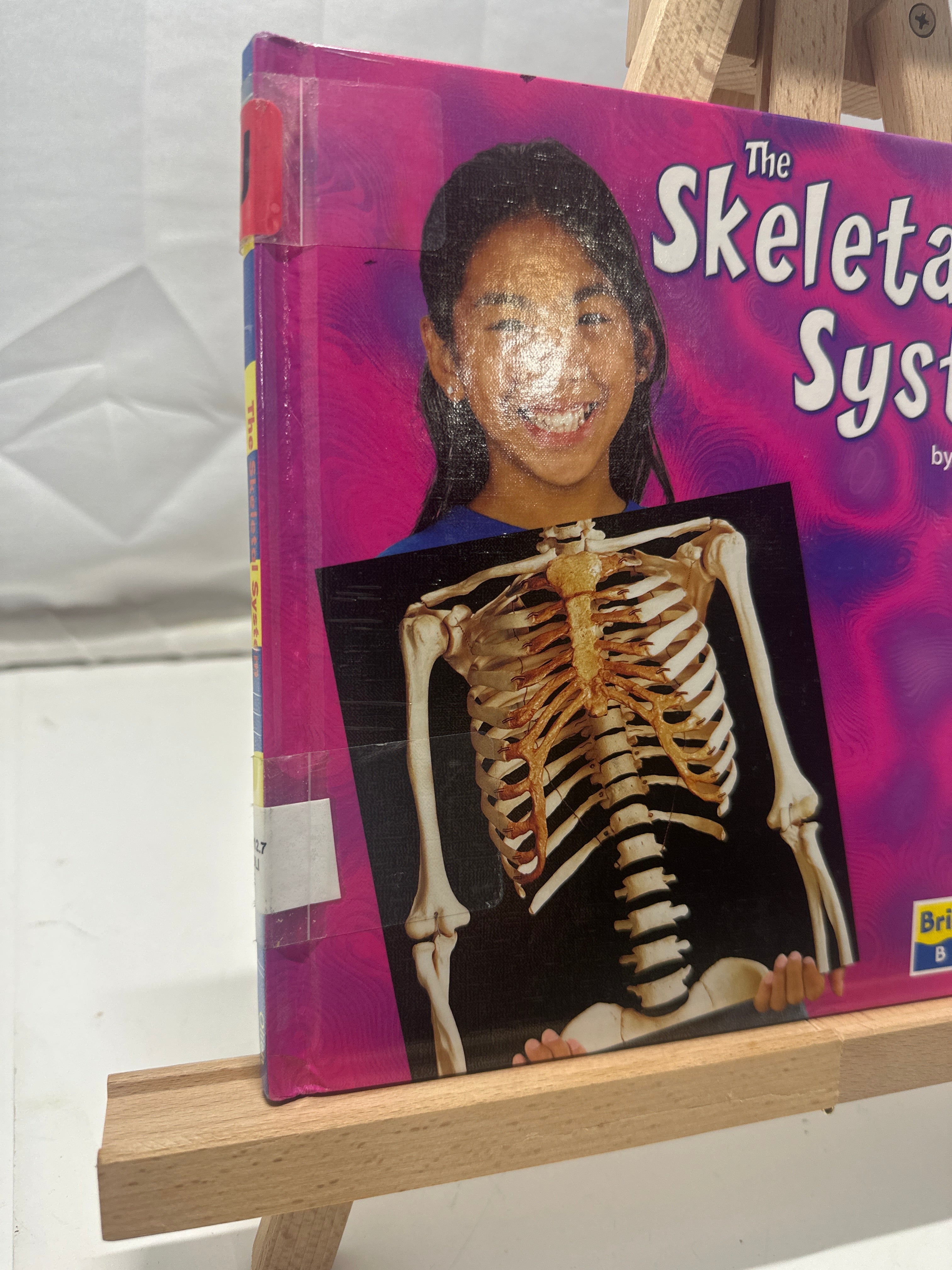 The Skeletal System by Rebecca Olien Hardcover