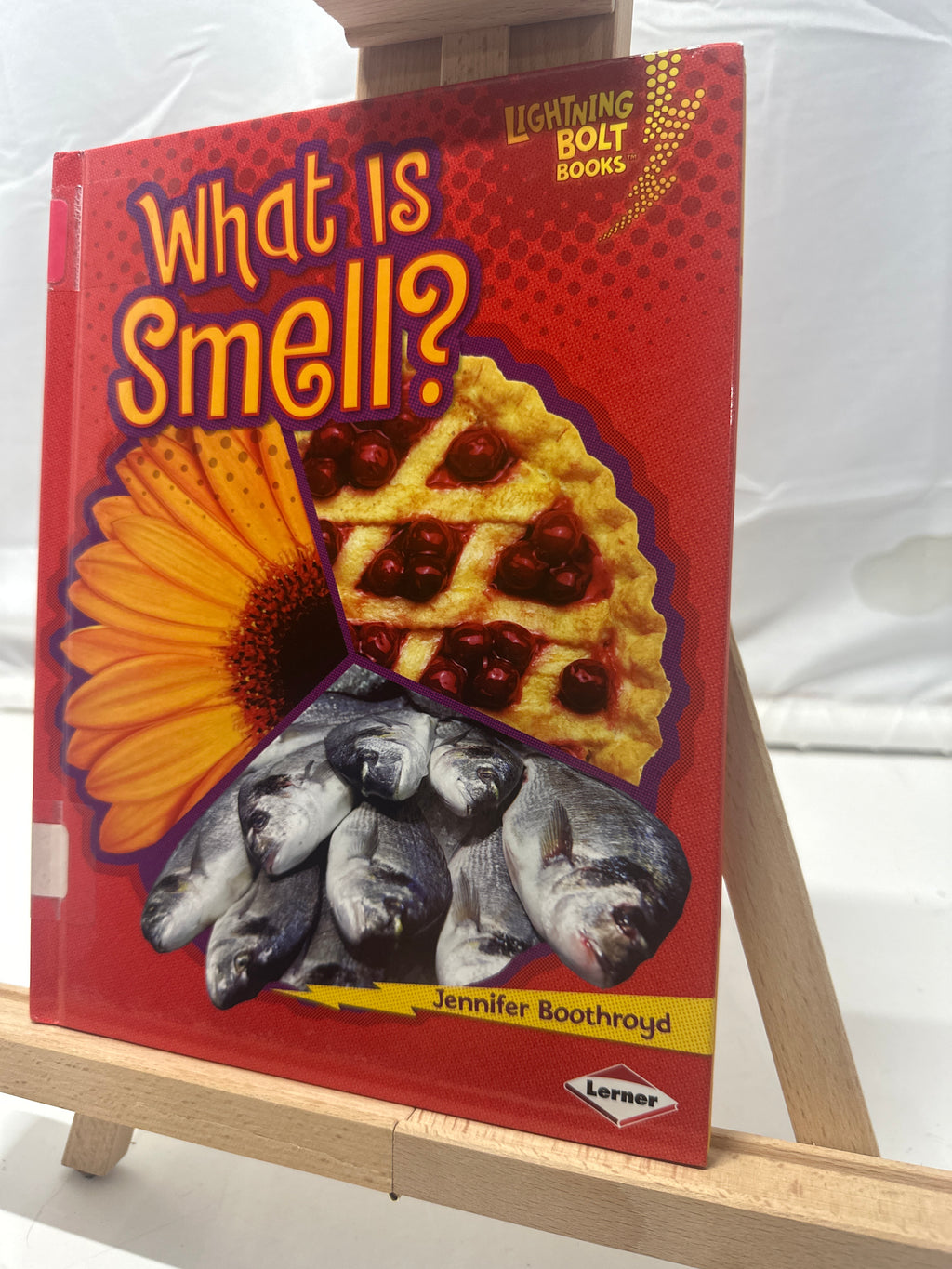 What is Smell? by Jennifer Boothroyd Hardcover Children's Book
