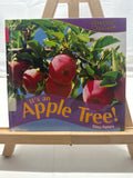Its an Apple Tree! by Elisa Peters Hardcover