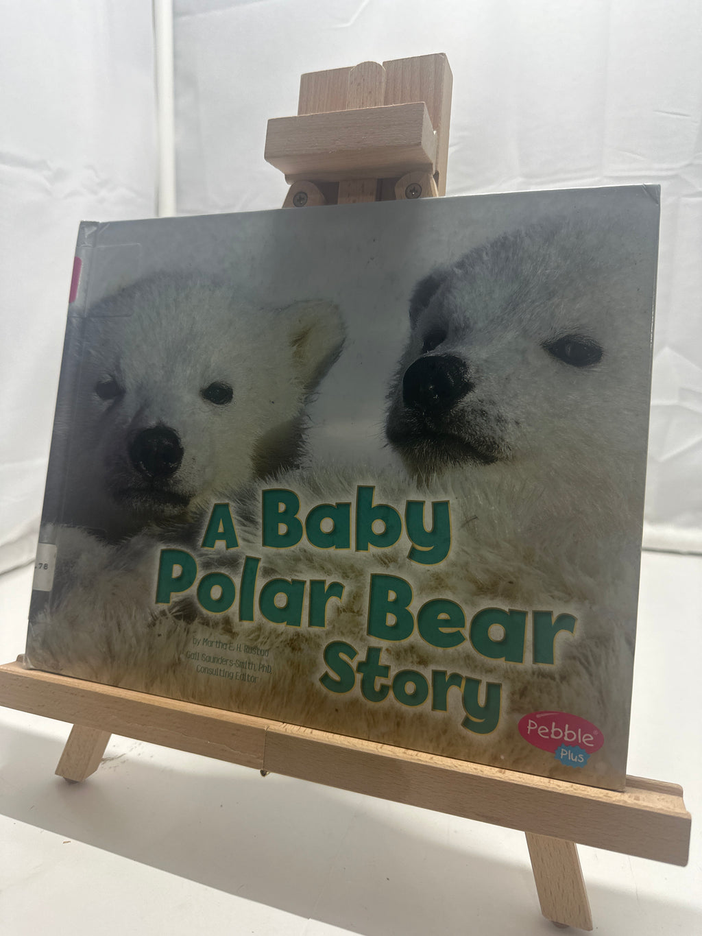 A baby polar bear story by Martha E. H. Rustad Hardcover