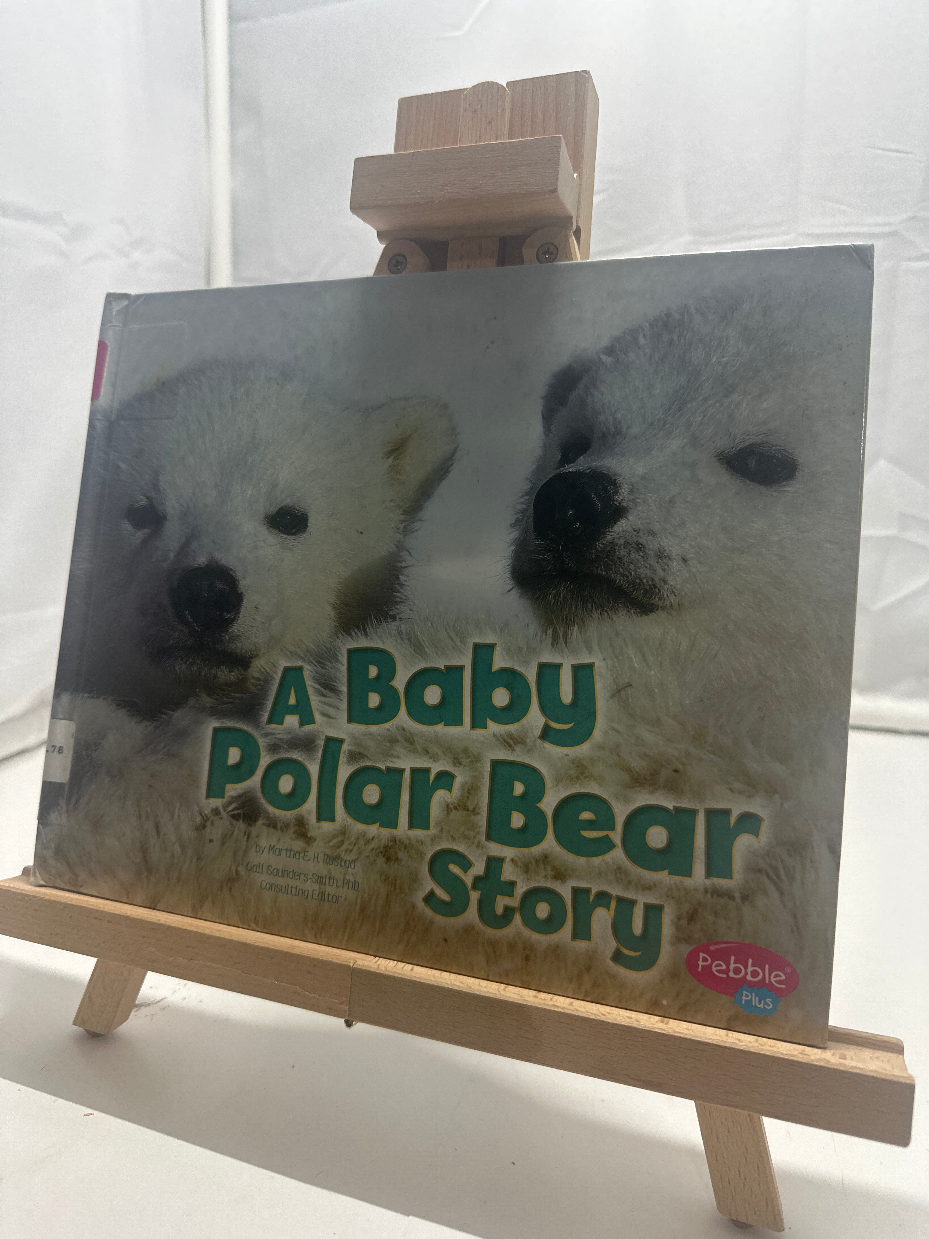 A baby polar bear story by Martha E. H. Rustad Hardcover