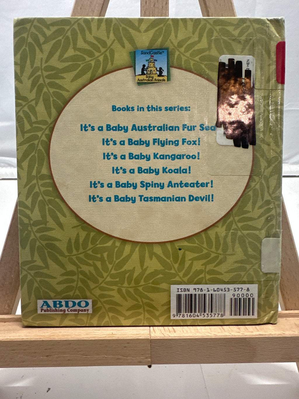 It's a baby koala! by Katherine Hengel Hardcover Children's Book