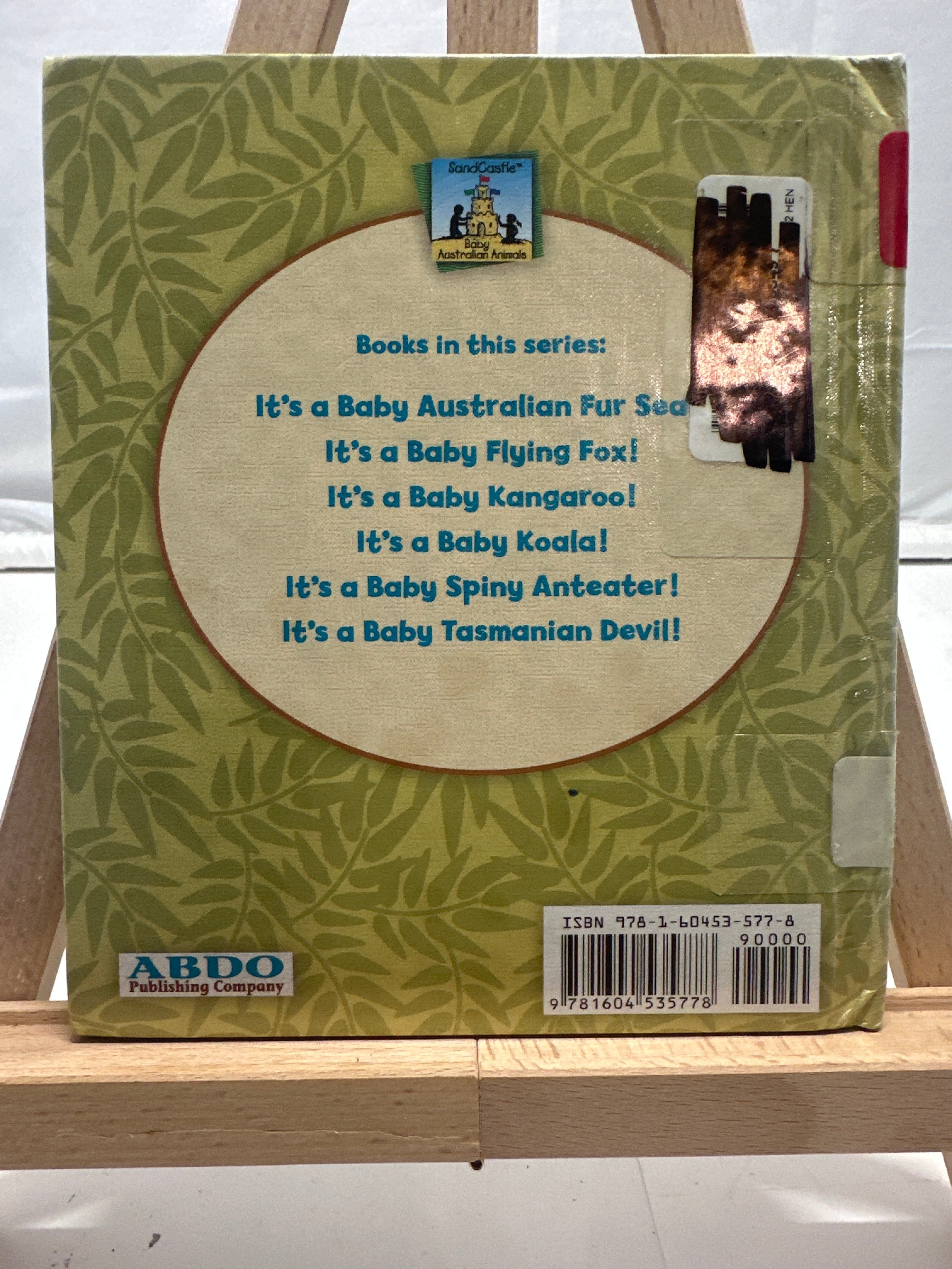 It's a baby koala! by Katherine Hengel Hardcover Children's Book