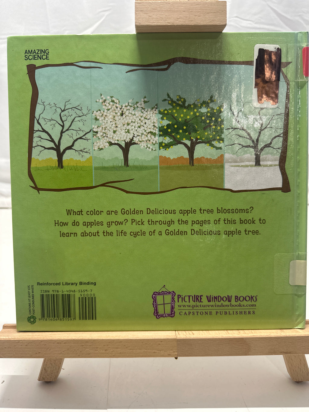 From seed to apple tree by Suzanne Slade Hardcover Children's Book