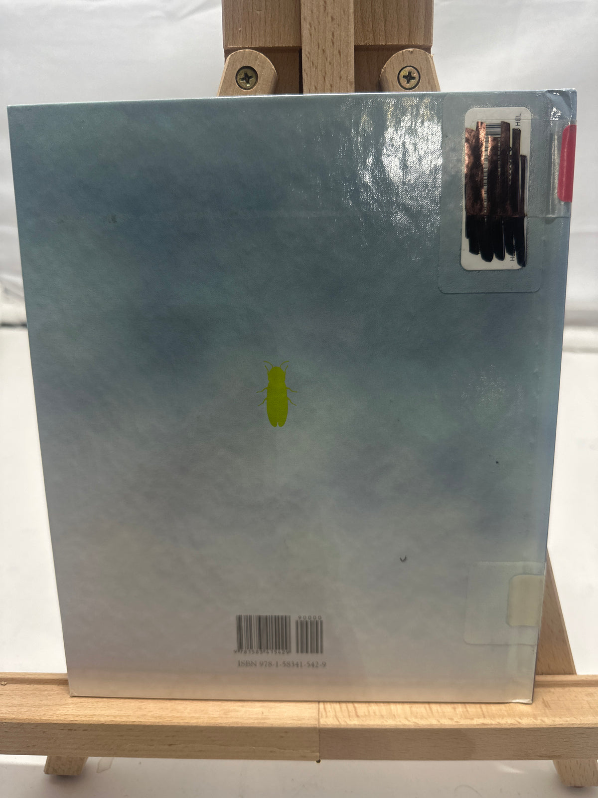 Fireflies by Nicole Helget Hardcover