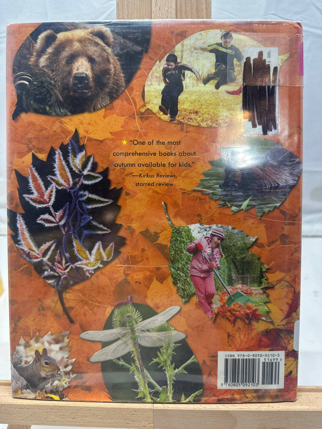 Awesome Autumn by Bruce Goldstone Hardcover