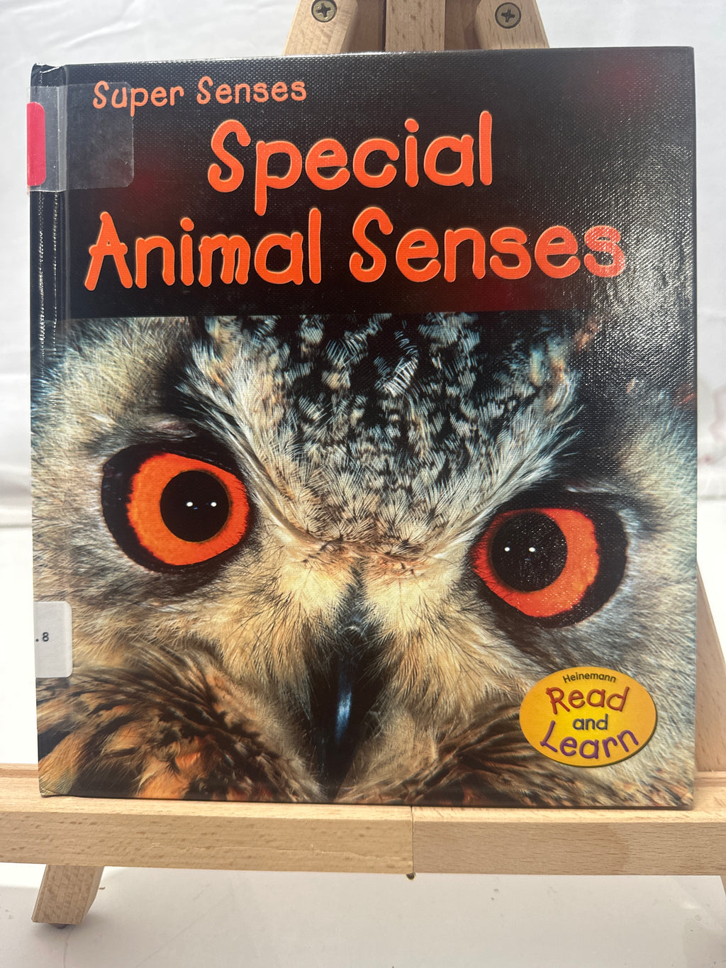 Special Animal Senses by Mary Mackill Hardcover
