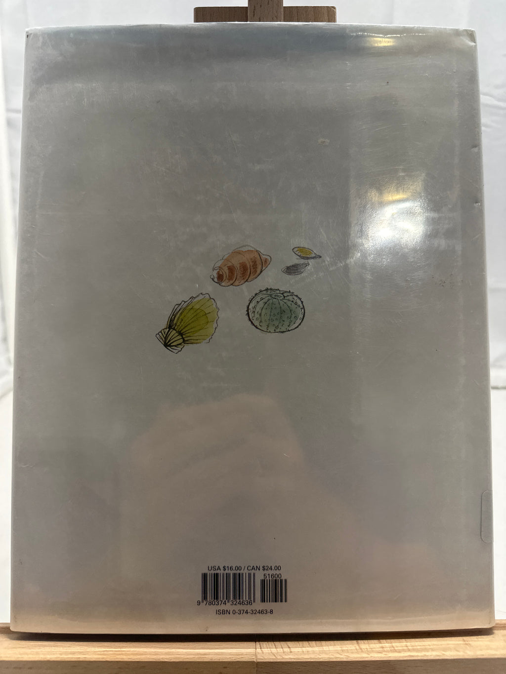 The Friend by Sarah Stewart Hardcover