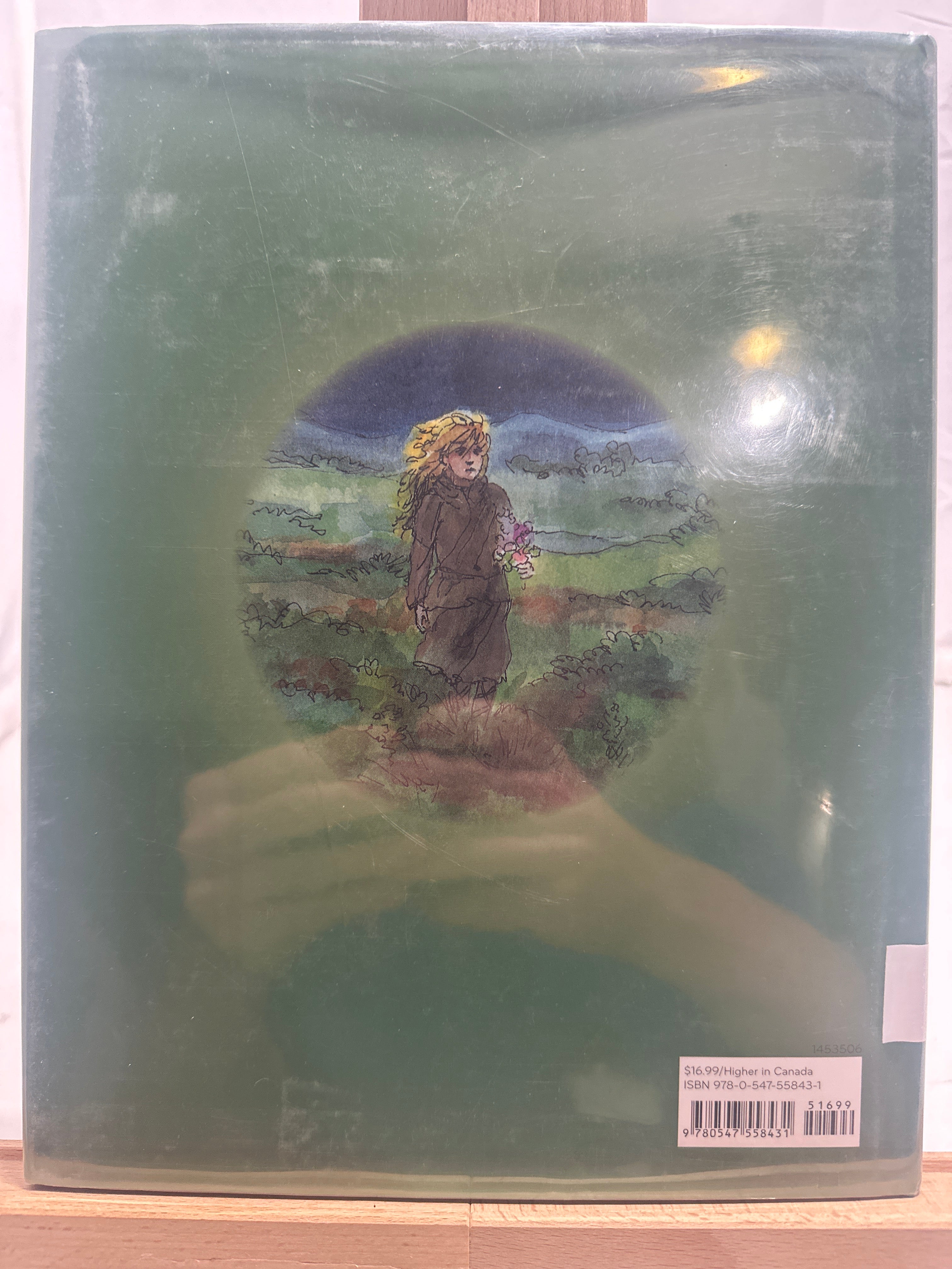 Ballywhinney Girl by Eve Bunting Hardcover