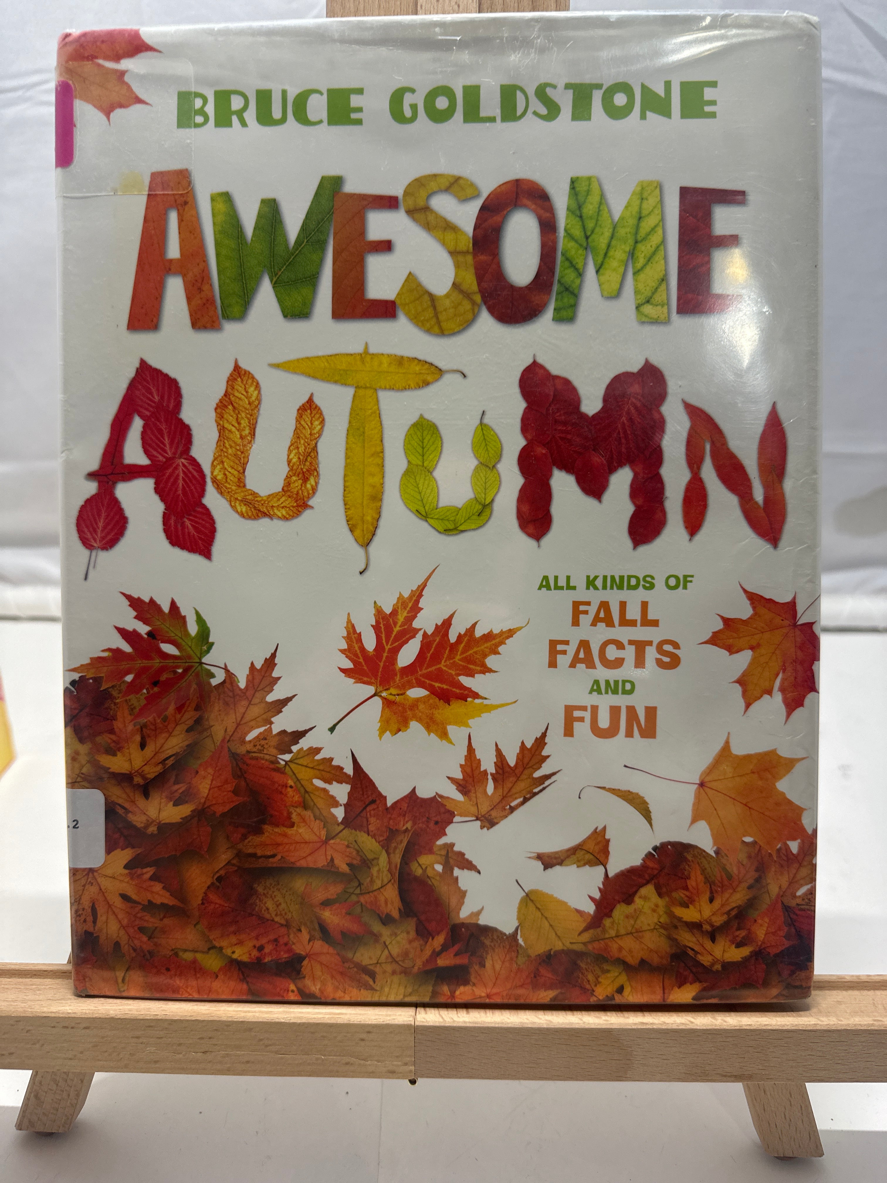 Awesome Autumn by Bruce Goldstone Hardcover