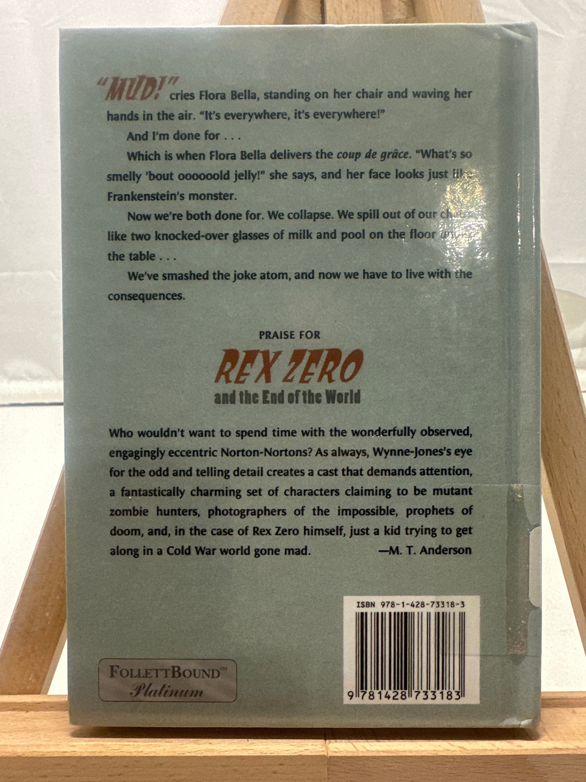 Rex Zero and the End of the World by Tim Wynne-Jones Hardcover