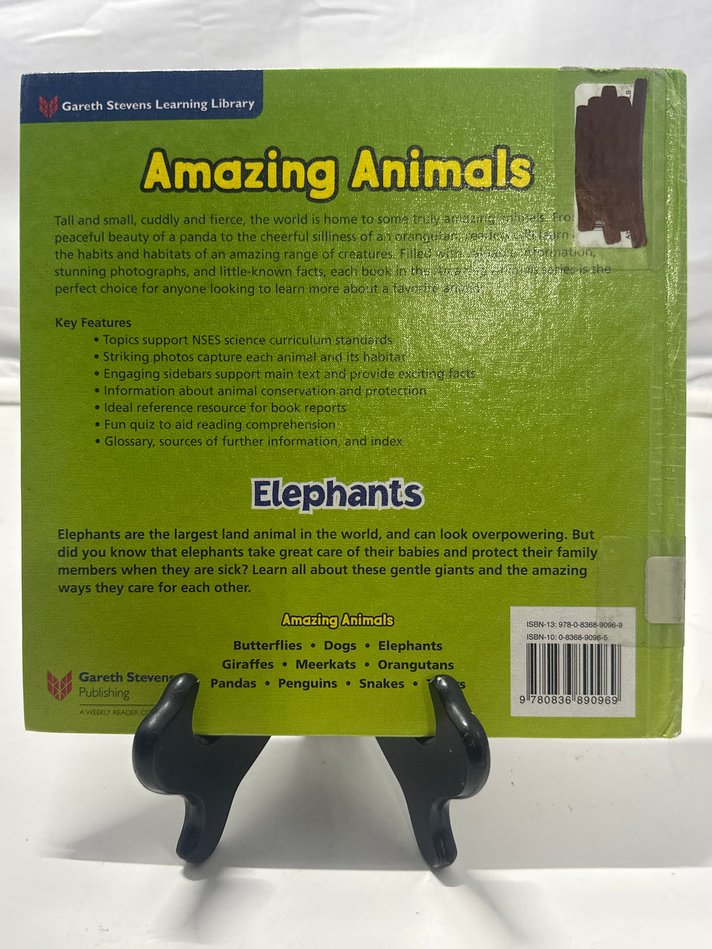 Elephants by Sarah Albee Hardcover Children's Book