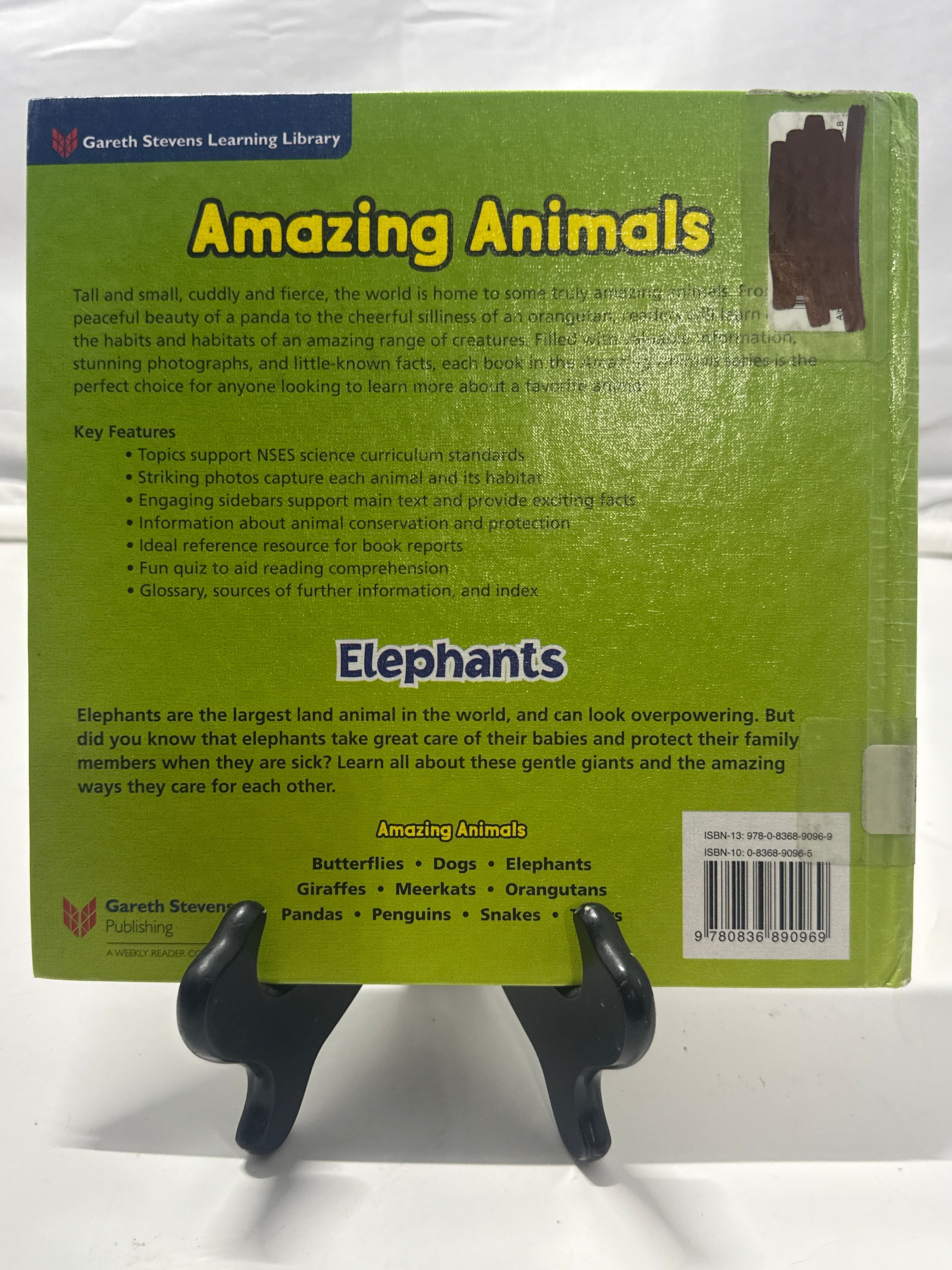 Elephants by Sarah Albee Hardcover Children's Book