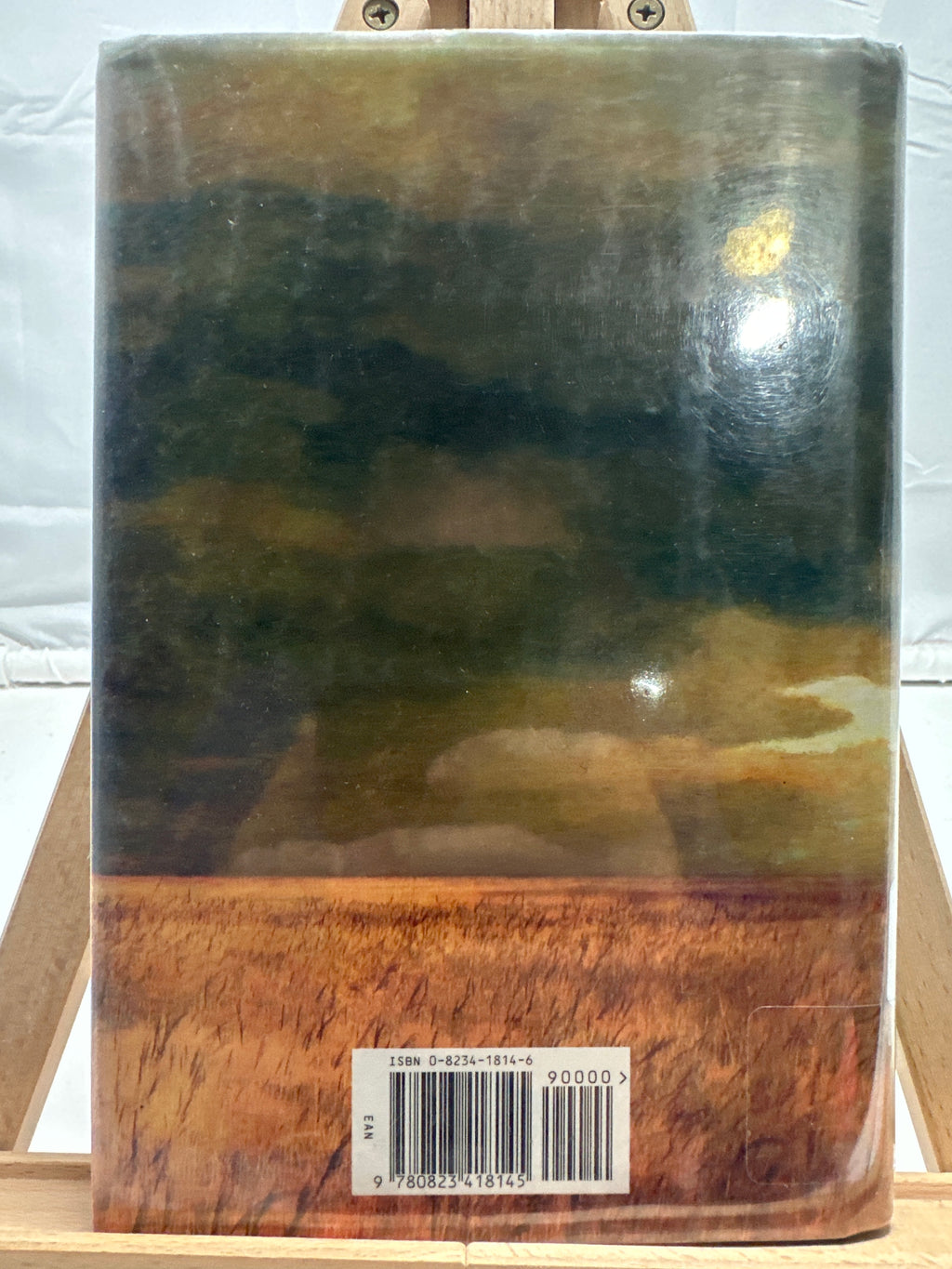 The Last of the Roundup Boys by Debra Seely Hardcover