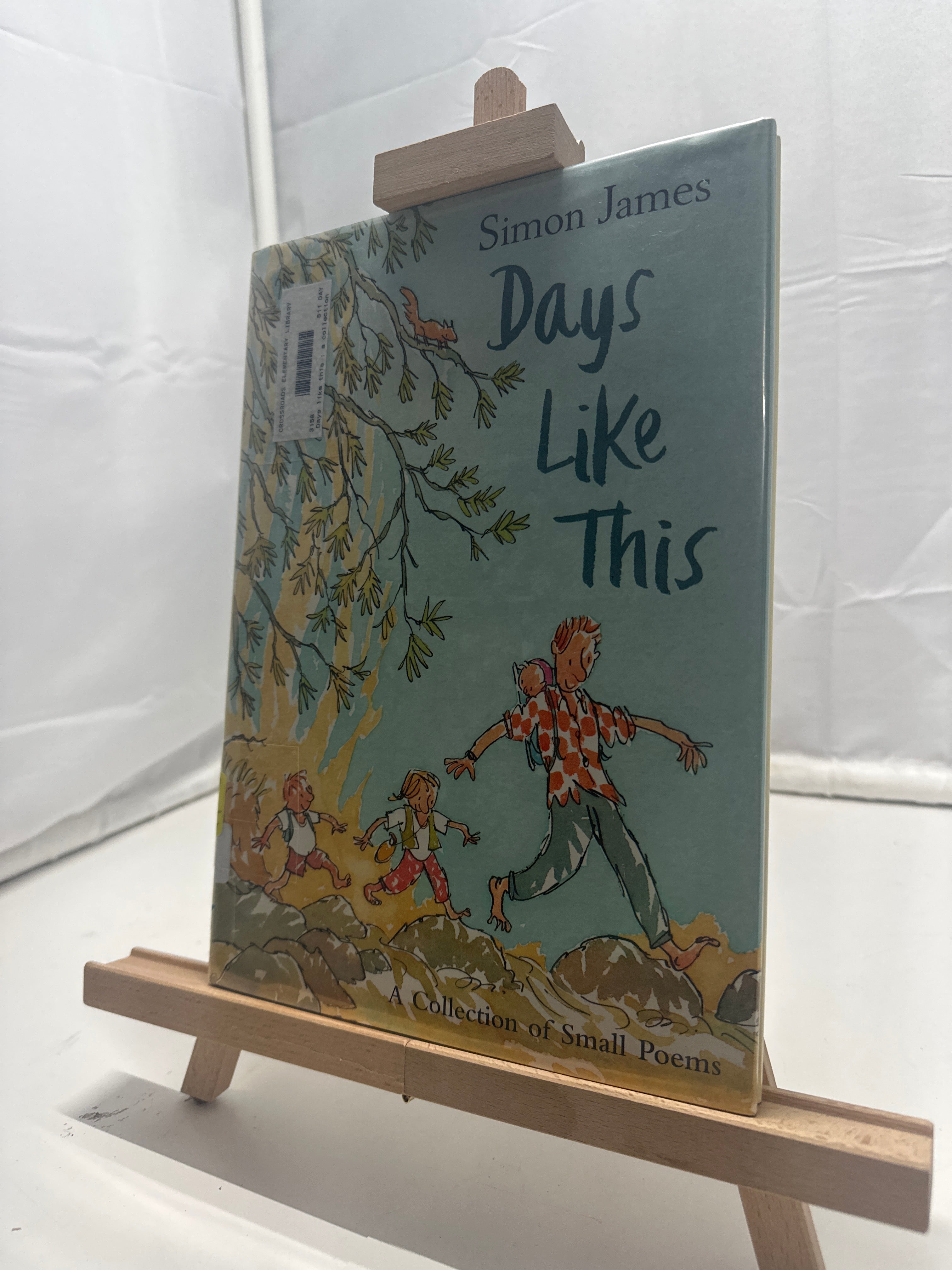 Days Like this by Simon James Hardcover