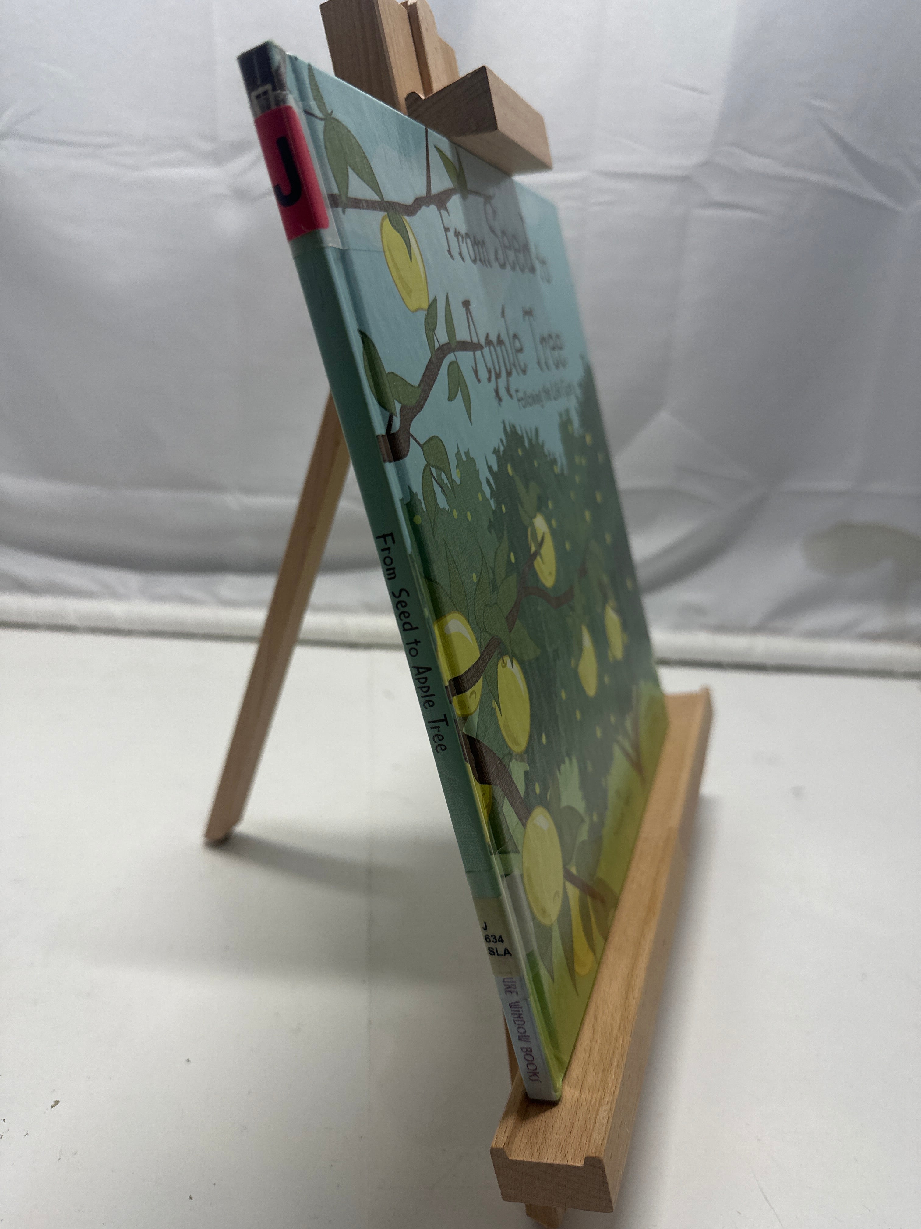 From seed to apple tree by Suzanne Slade Hardcover Children's Book