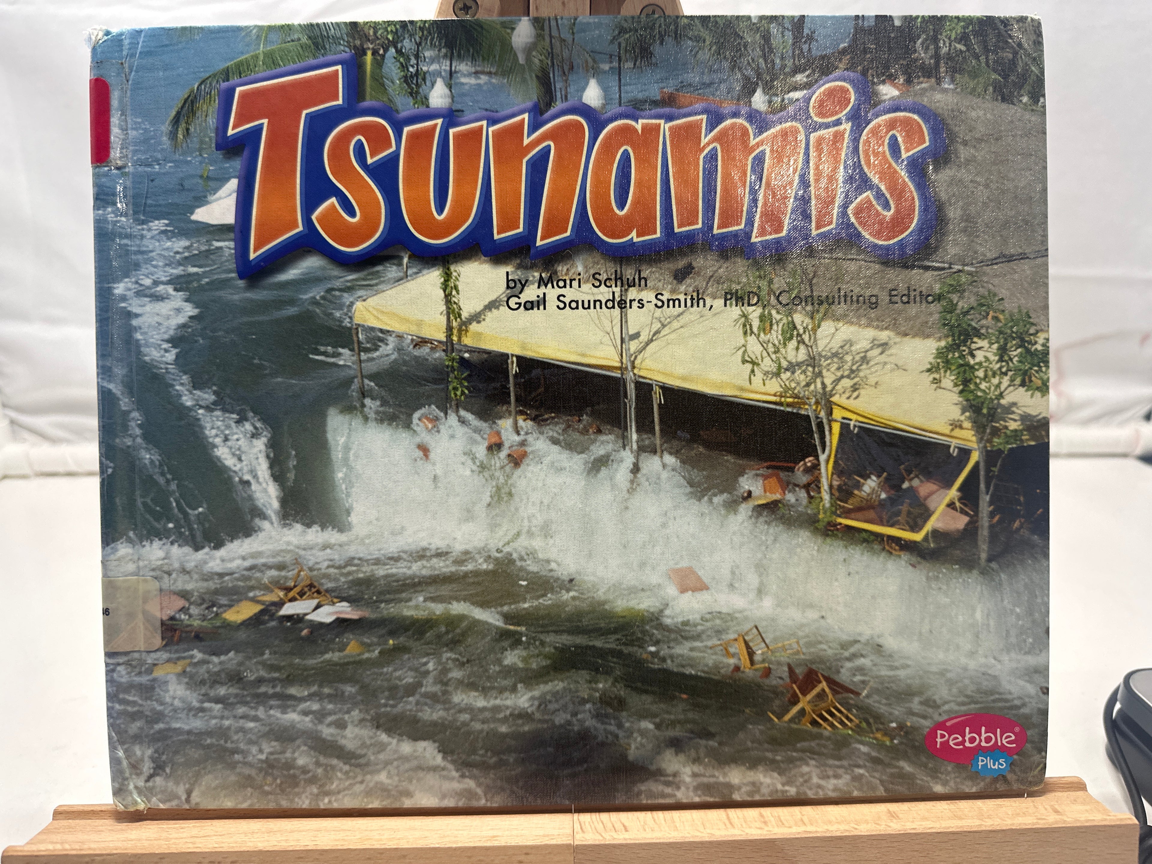 Tsunamis by Mari C. Schuh Hardcover