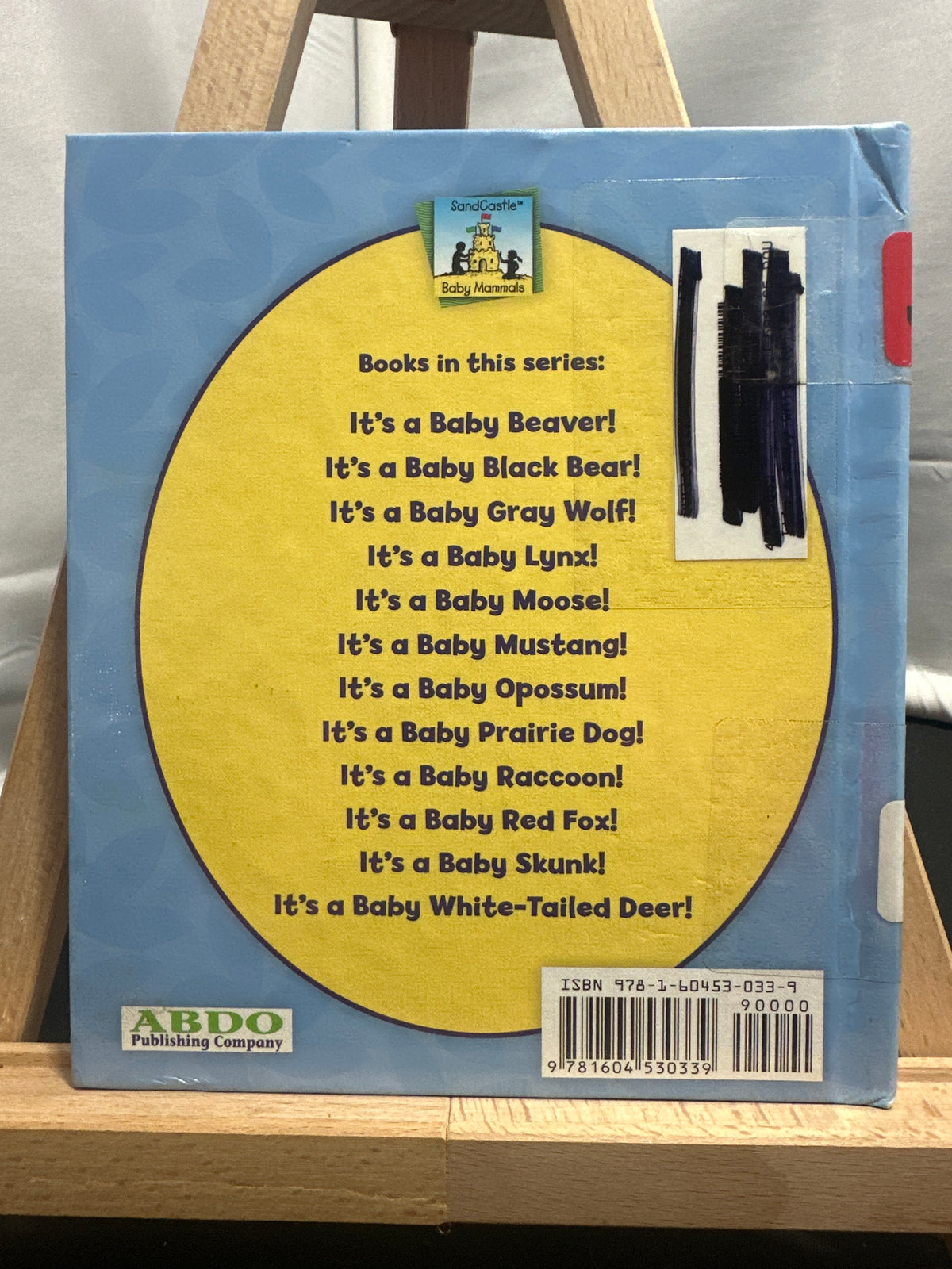 It's a Baby White-Tailed Deer! (Baby Mammals) by Kelly Doudna Hardcover