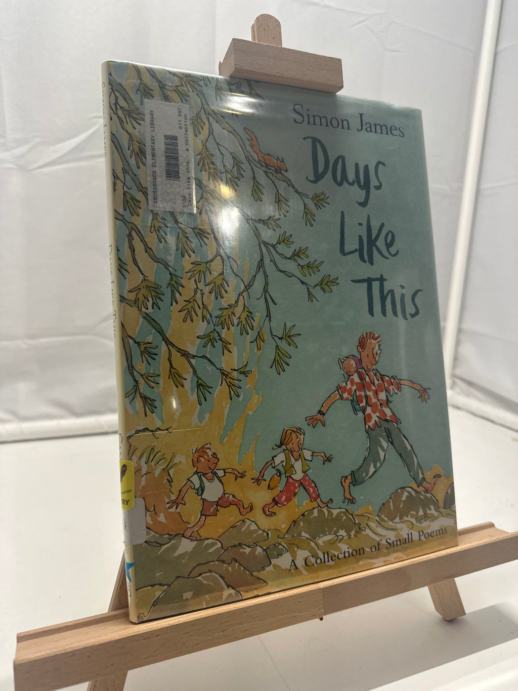 Days Like this by Simon James Hardcover