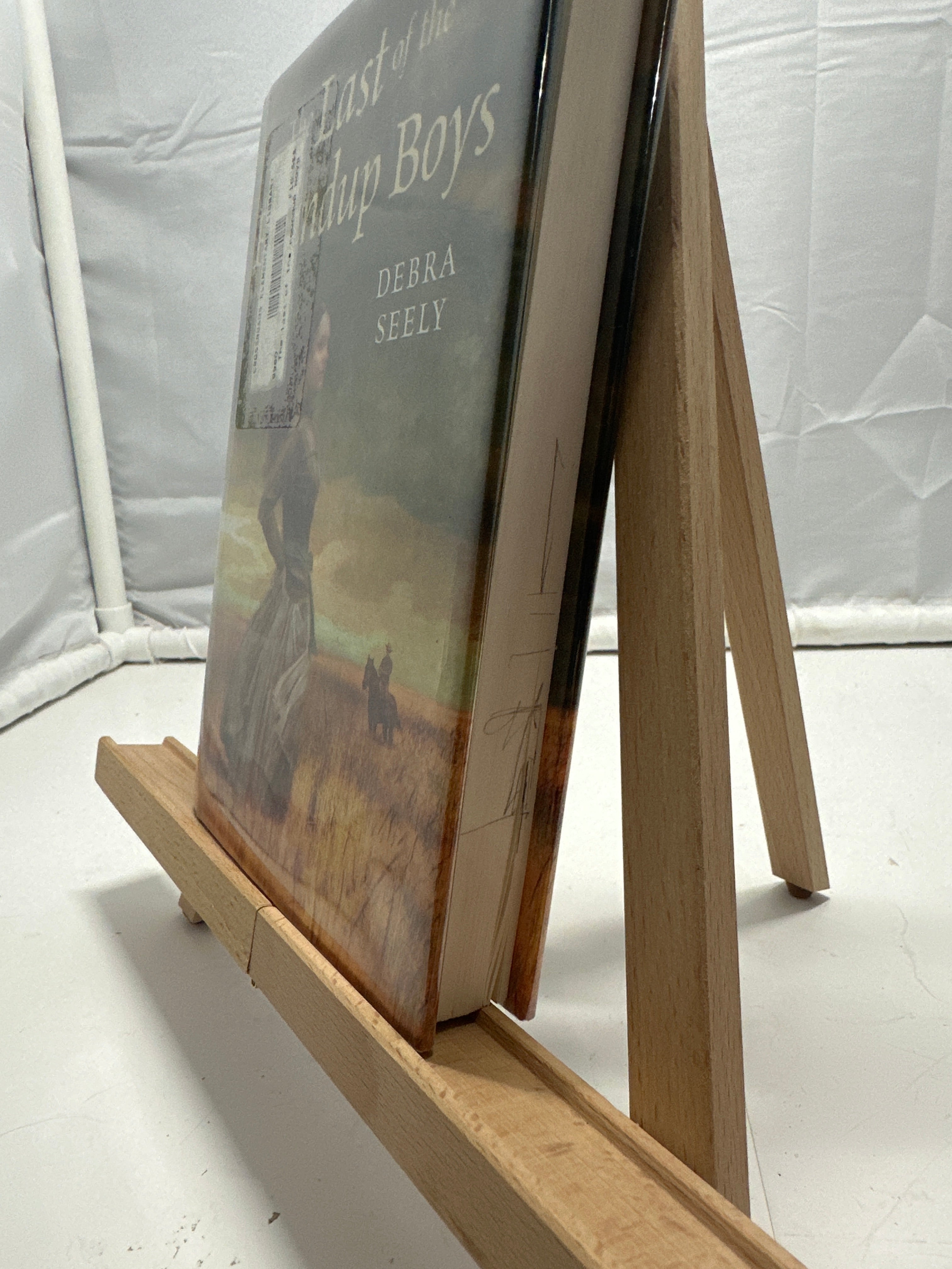 The Last of the Roundup Boys by Debra Seely Hardcover