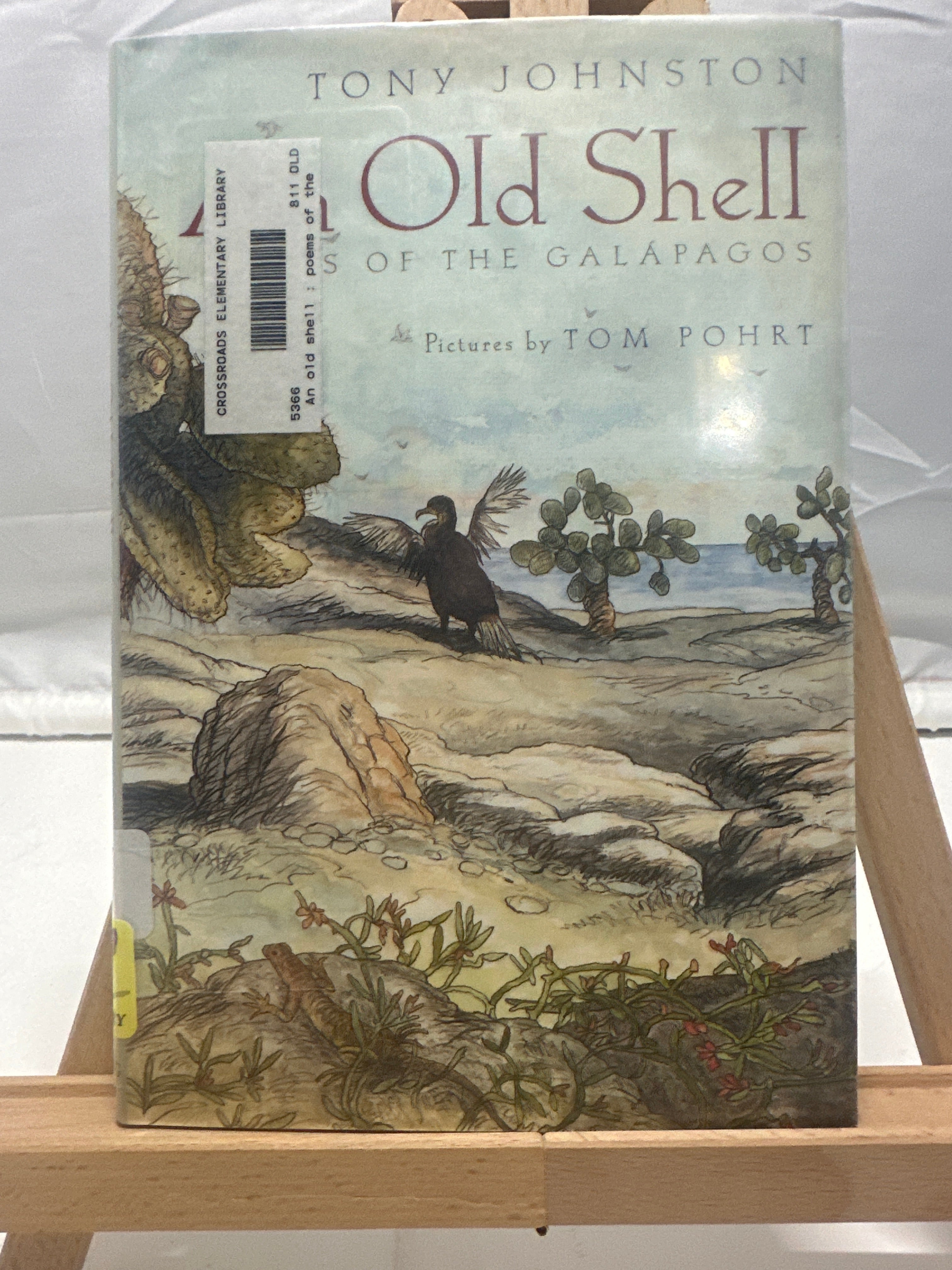 An Old Shell by Tony Johnston Hardcover