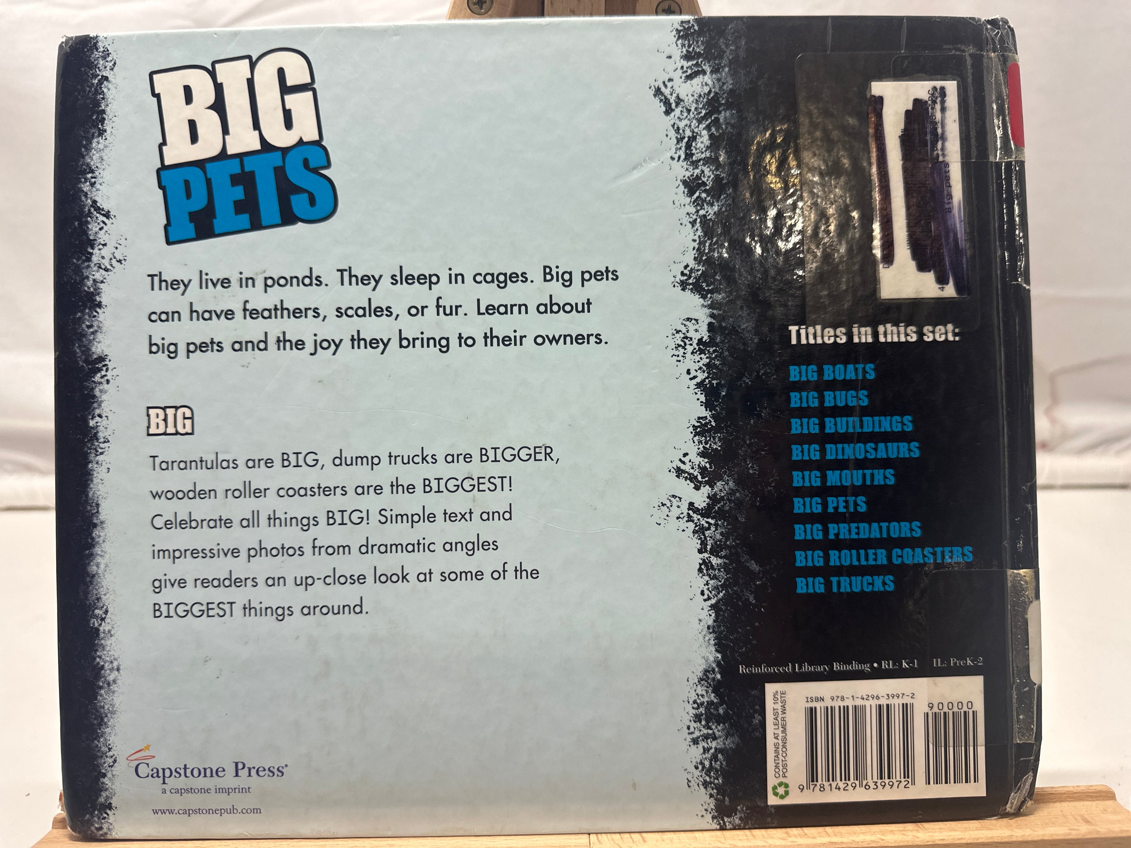 Big Pets by Catherine Ipcizade Hardcover