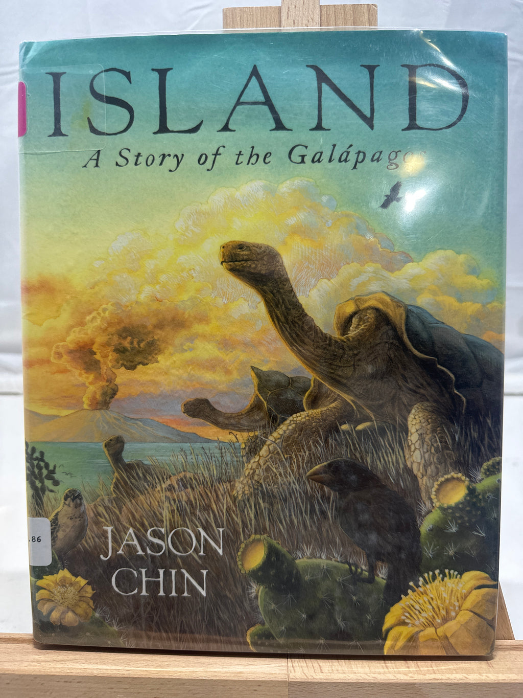 Island by Jason Chin Hardcover