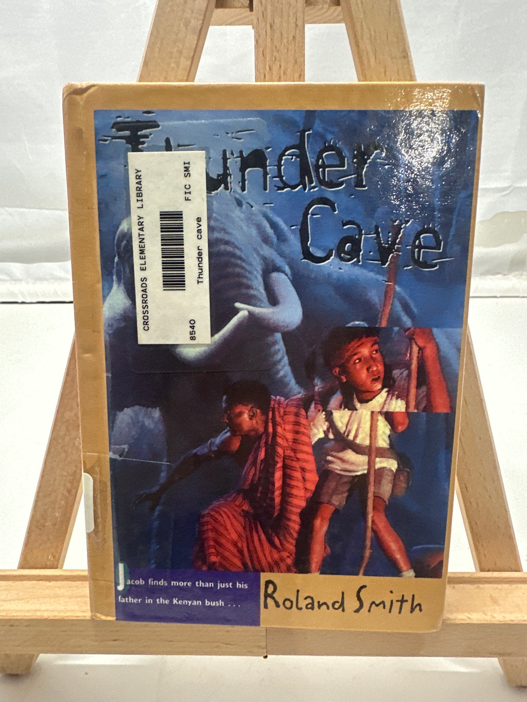 Thunder Cave by Roland Smith Hardcover