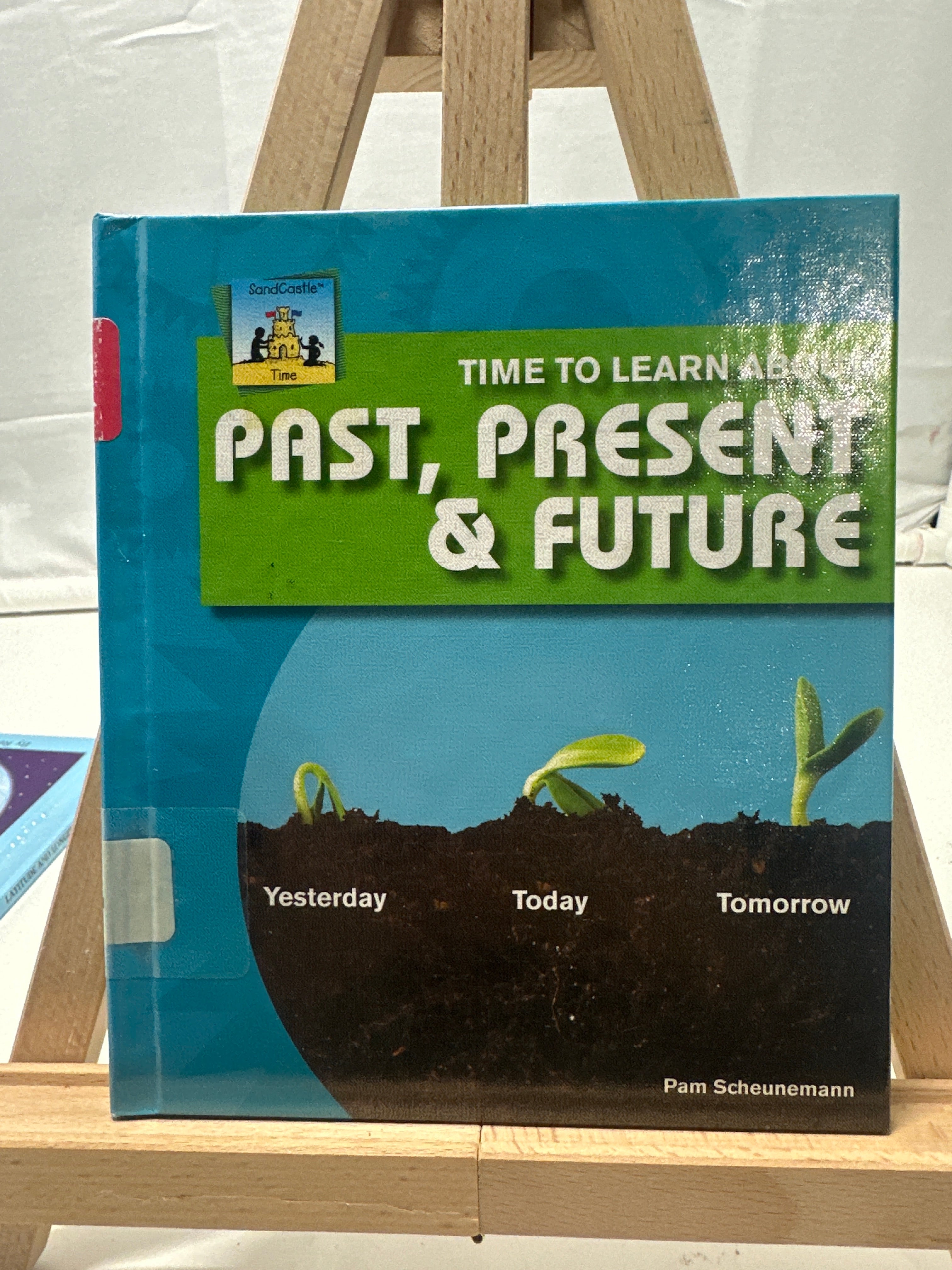 Time to Learn About Past, Present & Future (Time) by Pam Scheunemann Hardcover