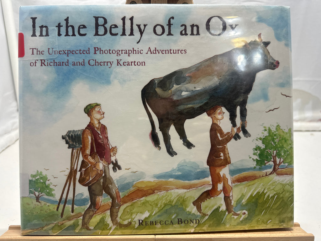 In the Belly of an Ox by Rebecca Bond Hardcover