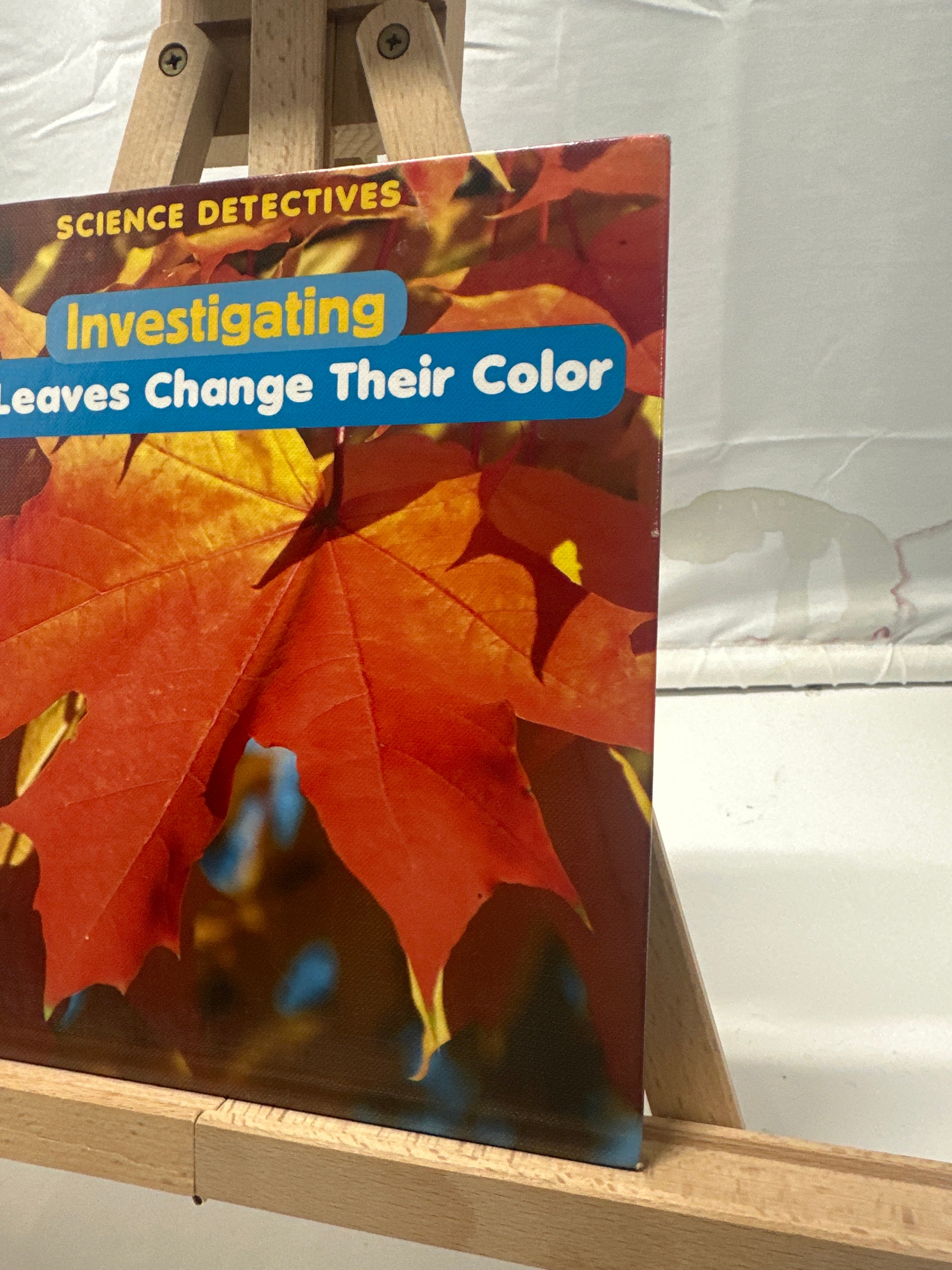 Investigating why leaves change their color by Ellen René Hardcover Children's