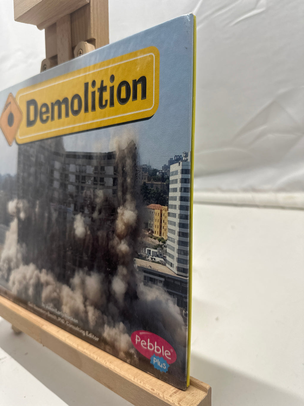 Demolition by JoAnn Early Macken Hardcover