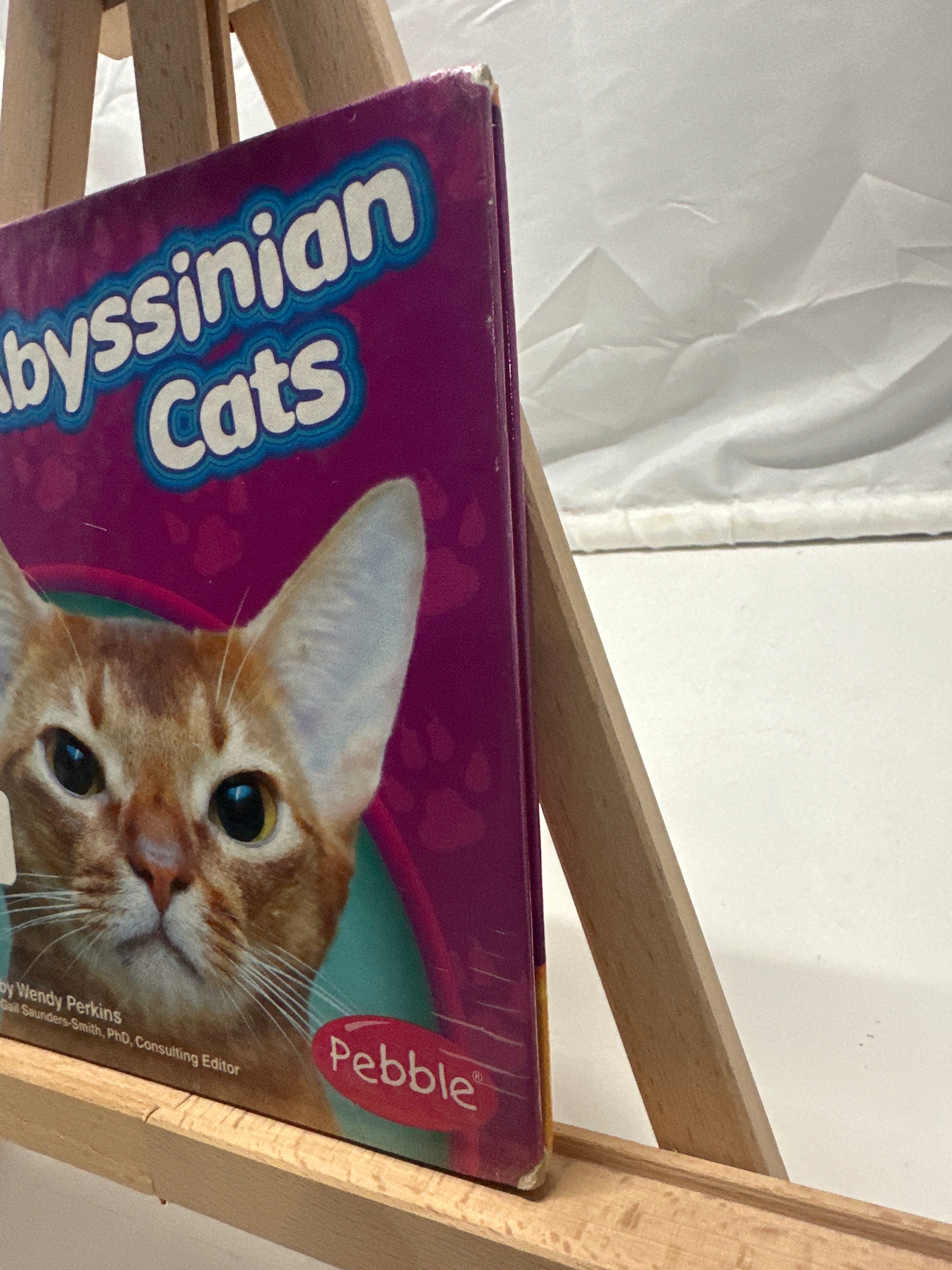 Abyssinian Cats by Wendy Perkins Hardcover