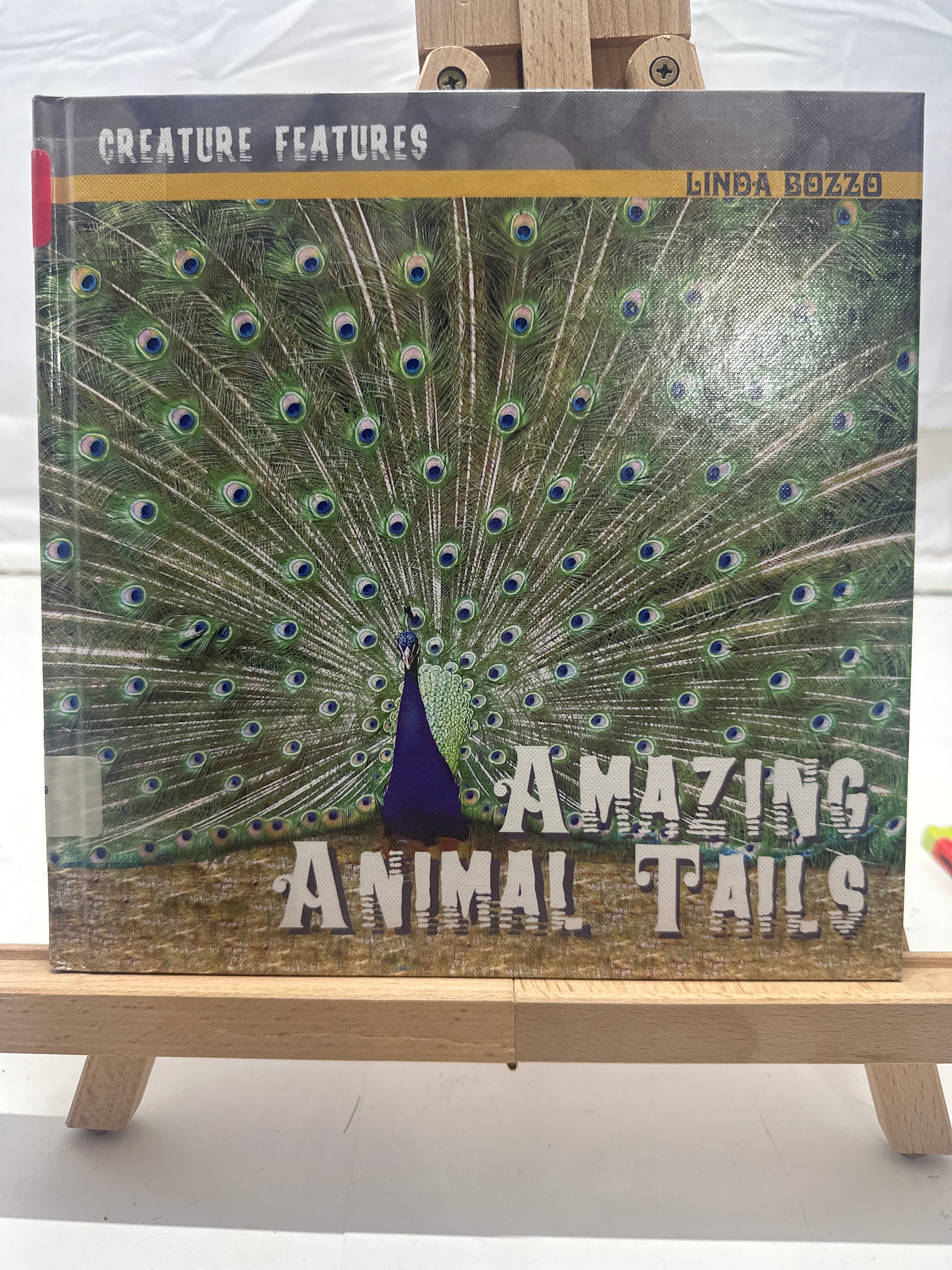 Amazing animal tails by Linda Bozzo Hardcover Children's Book