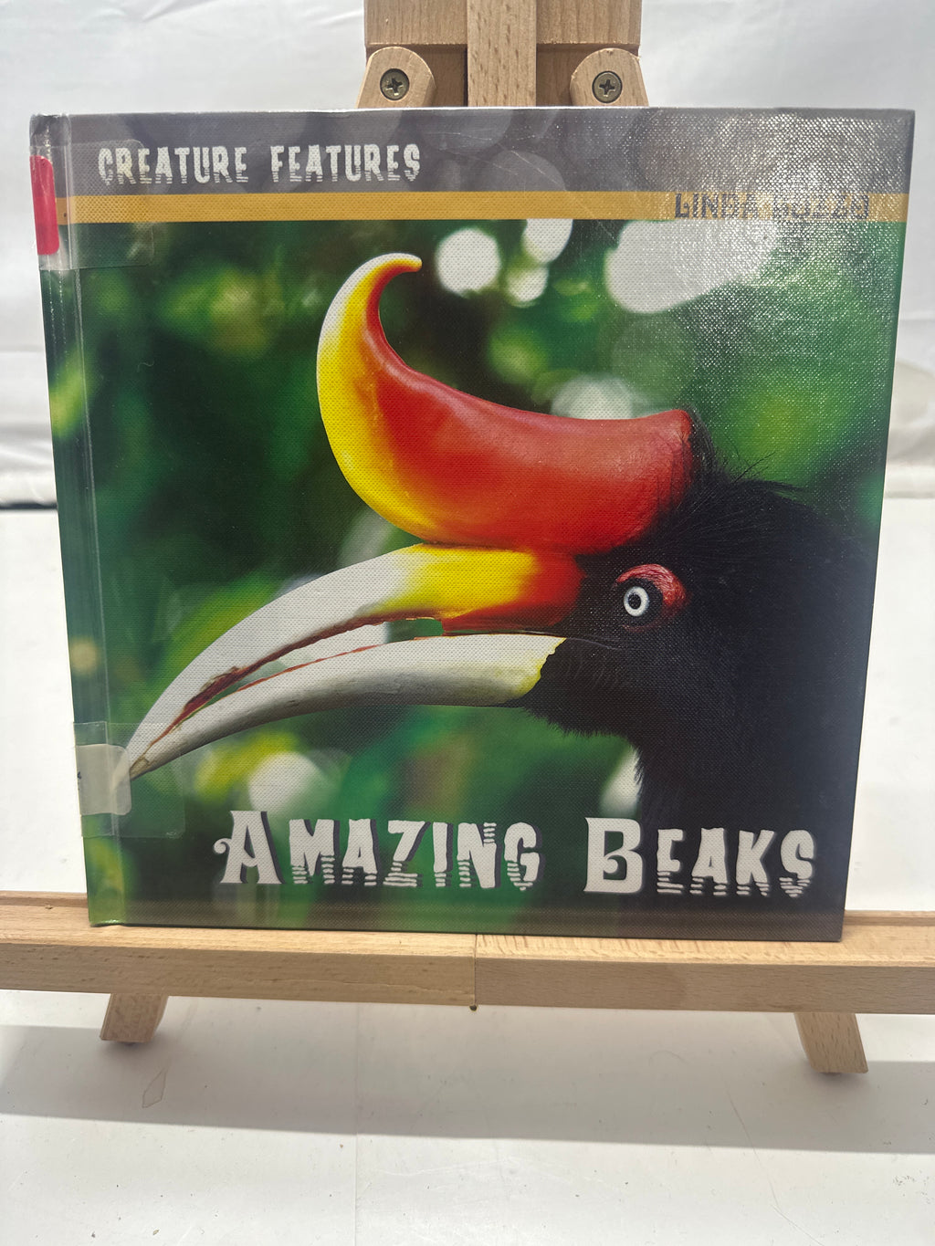 Amazing Beaks by Linda Bozzo Hardcover