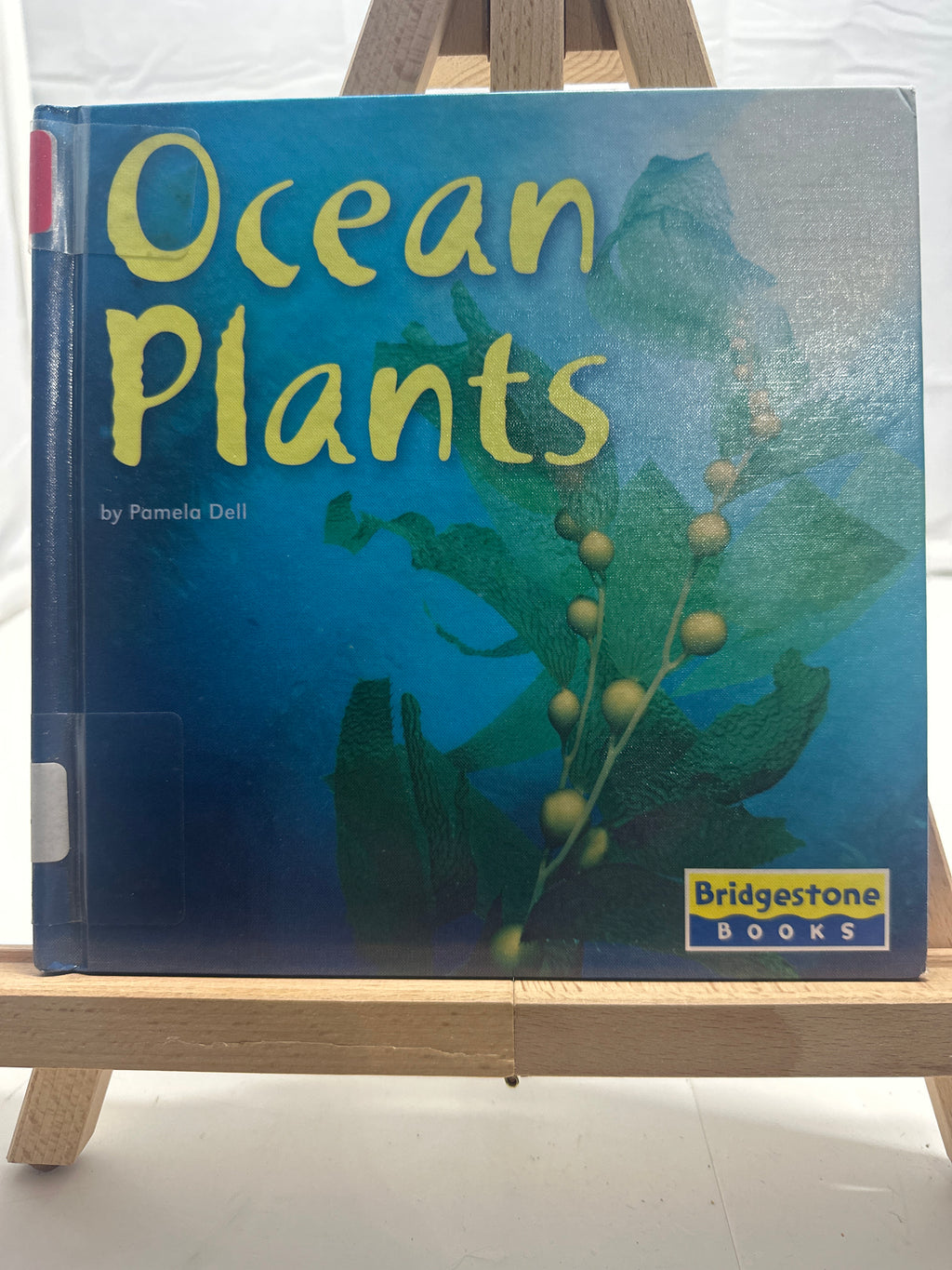 Ocean Plants (Life in the World's Biomes) by Pamela Dell Hardcover