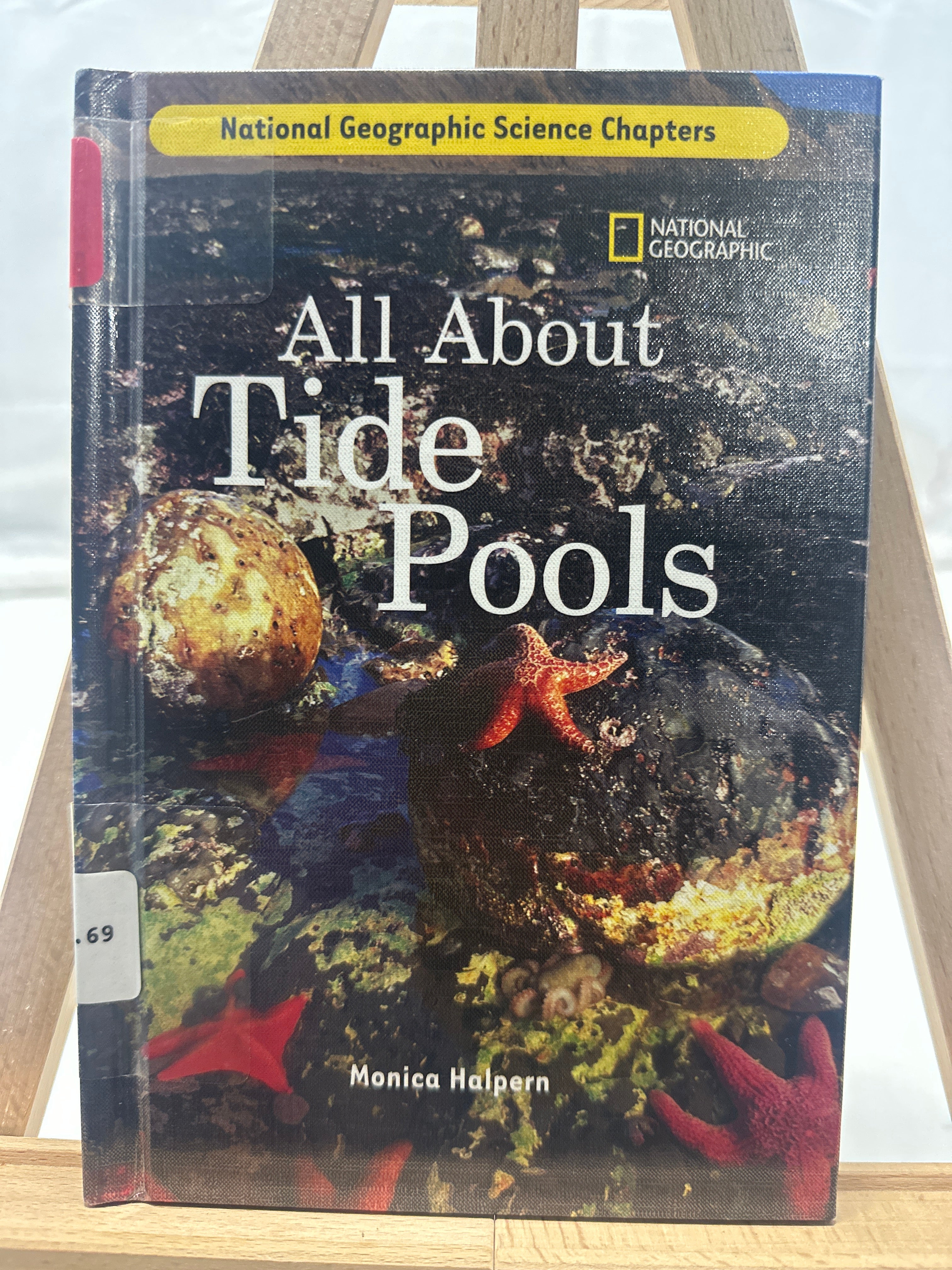 All about tide pools by Monica Halpern Hardcover Children's Book