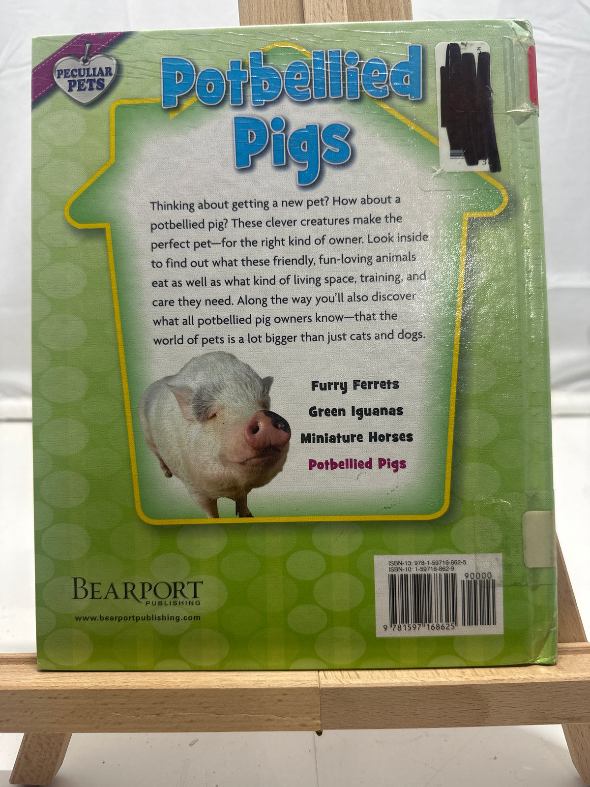 Potbellied pigs by Natalie Lunis Hardcover Children's Book