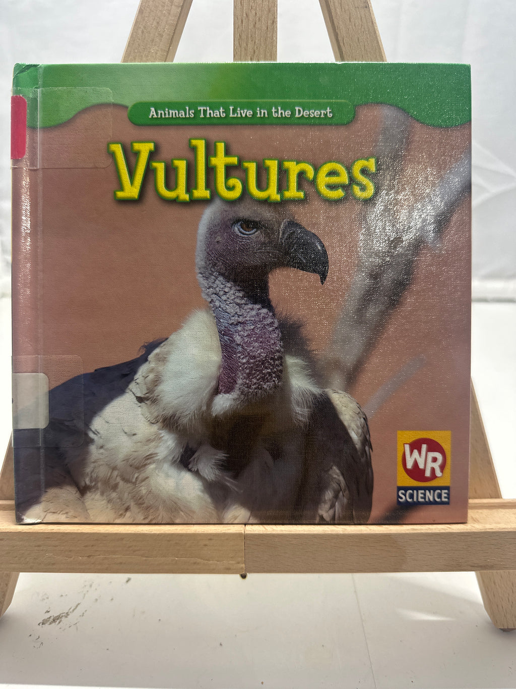 Vultures by JoAnn Early Macken Hardcover Children's Book