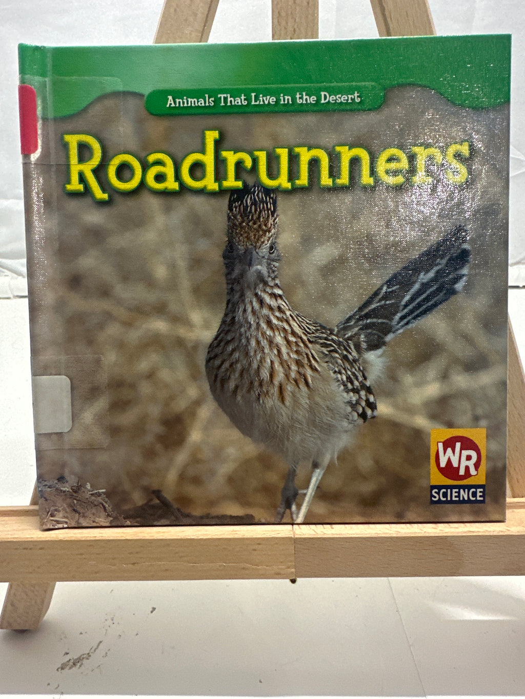 Roadrunners by JoAnn Early Macken Hardcover Children's Book