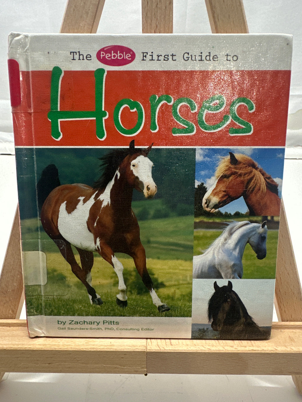 The Pebble First Guide to Horses by Zachary Pitts Hardcover