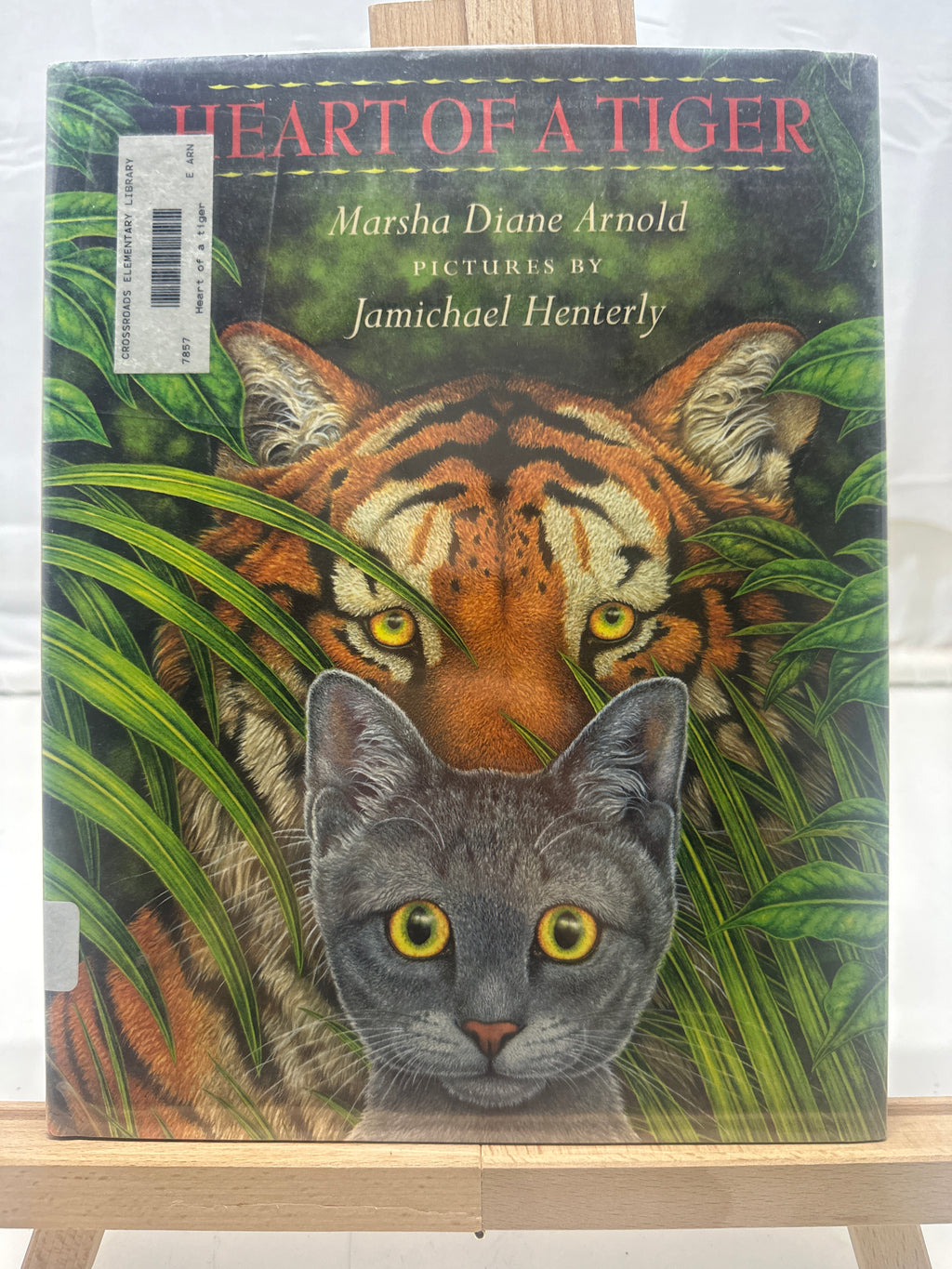 Heart of a Tiger by Marsha Diane Arnold Hardcover