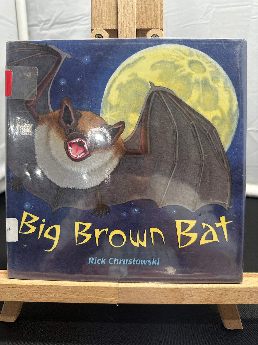 Big brown bat by Rick Chrustowski Hardcover Children's Book